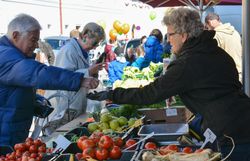Wochenmarkt in Waidhofen an der Ybbs