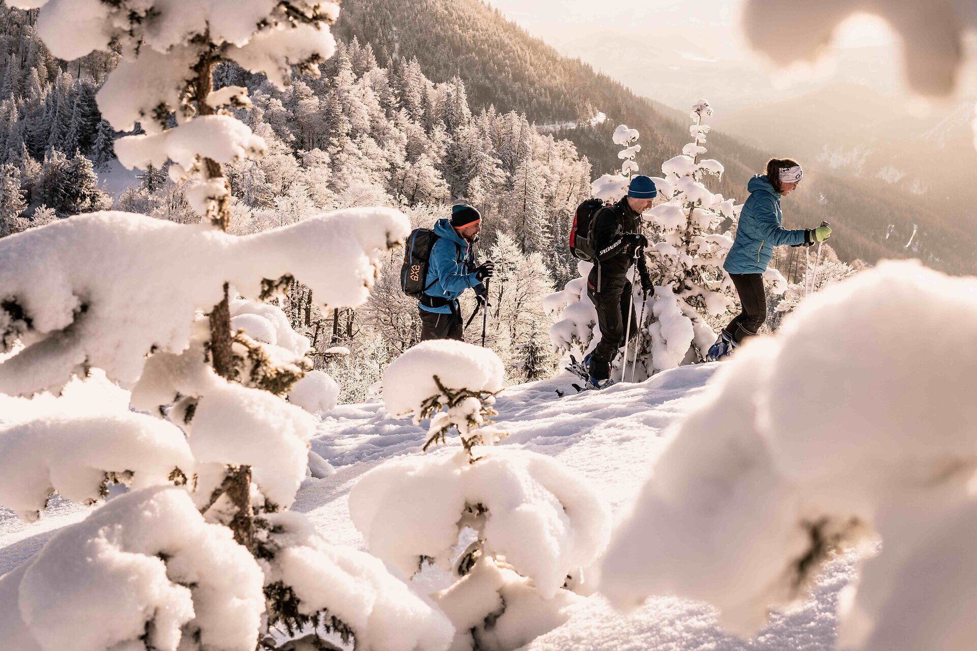 Kleine Skitouren am Kleinen Ötscher im Mostviertel bieten genussvolle Aufstiege und ruhige Abfahrten inmitten der winterlichen Ybbstaler Alpen. Die sanften Routen rund um den Kleiner Ötscher sind ideal für Einsteiger:innen und Genießer:innen, die abseits des Trubels Natur, Bewegung und alpine Stille erleben möchten.