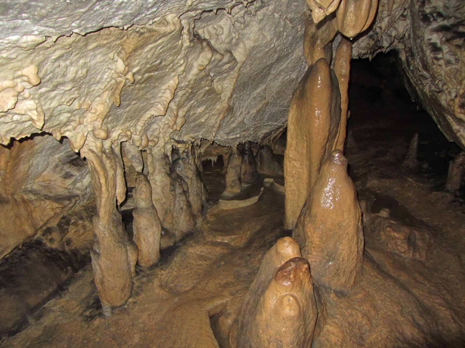Stalagmiten und Stalaktiten in einer Höhle.