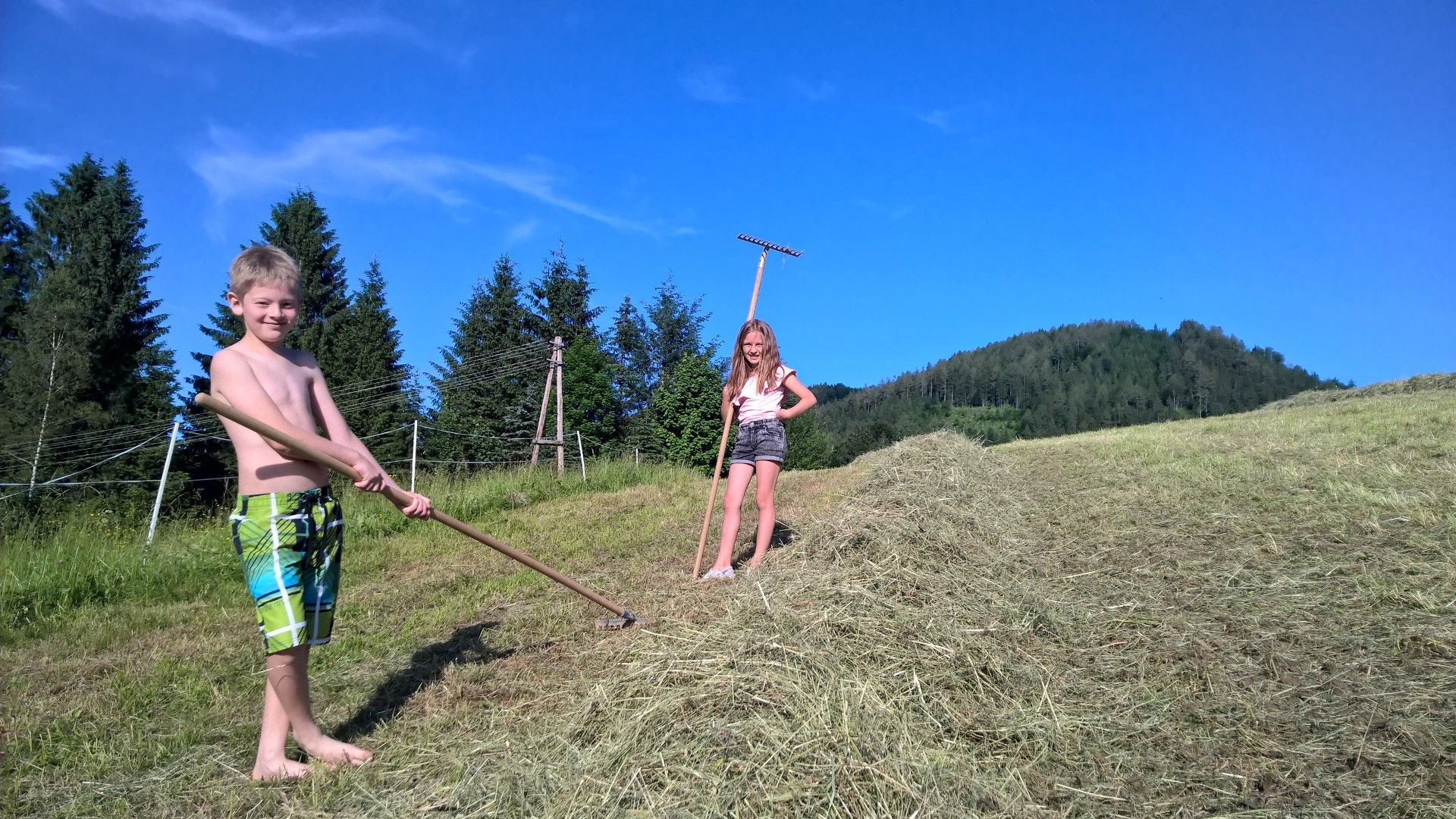 Heuernte bei den Schlögelhofers
