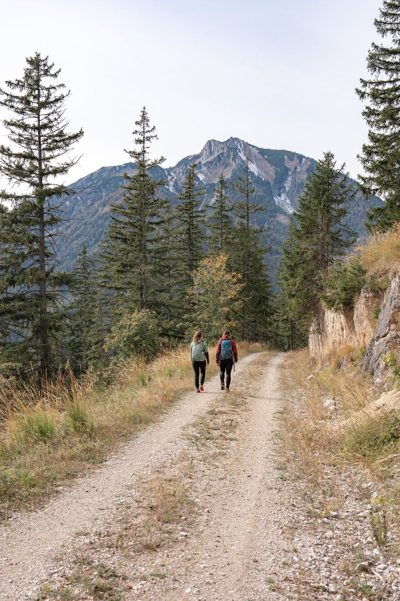 Sanfte Hügel und majestätische Berge umrahmen den Weg, auf dem Wanderer die frische Herbstluft genießen. Die goldenen und roten Blätter der Bäume schaffen eine malerische Kulisse, während die Stille der Natur zur Entspannung einlädt.