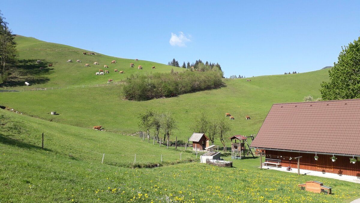 Urlaub am Bauernhof-Oberrehau