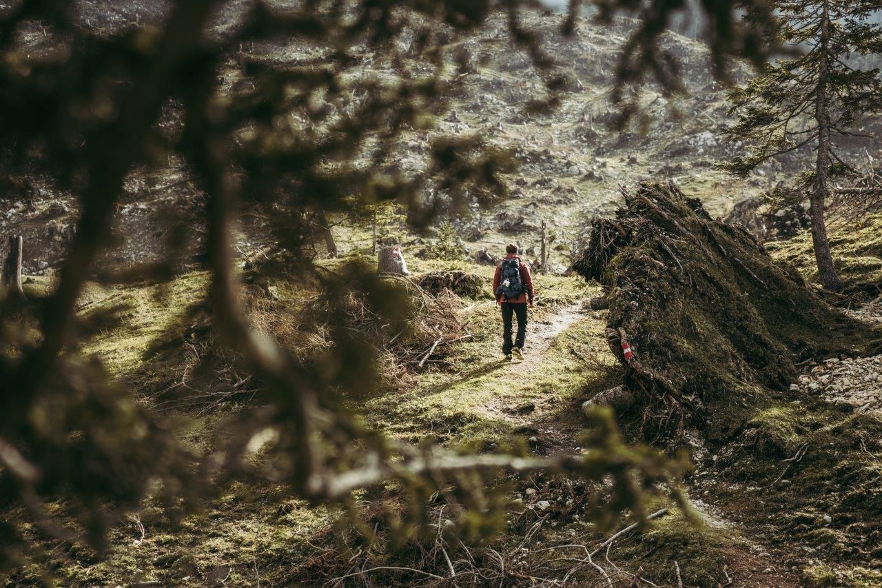 Haute Route