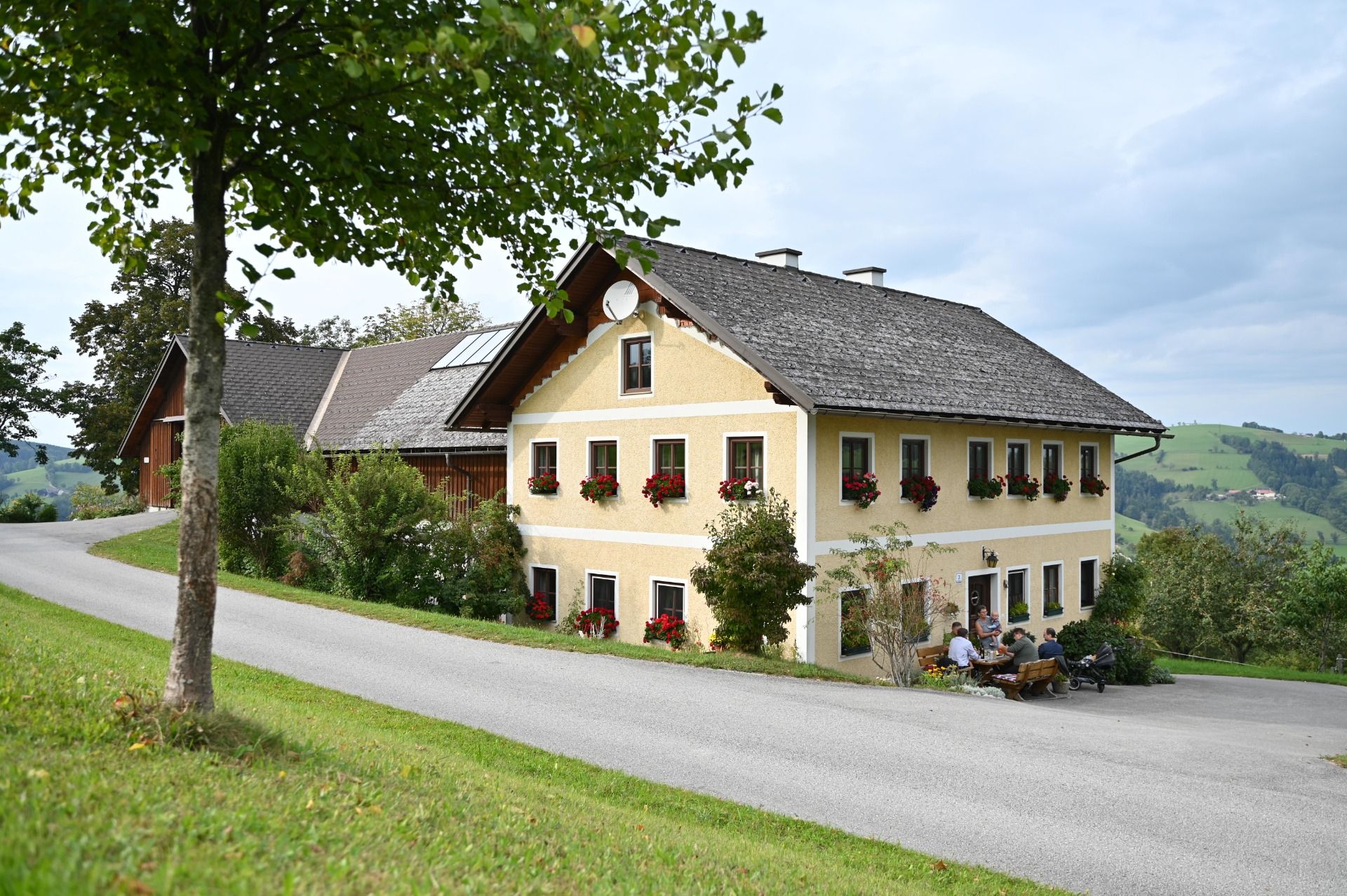 Ein gelbes Bauernhaus mit roten Blumen an den Fenstern, umgeben von grüner Landschaft und einem Baum im Vordergrund.