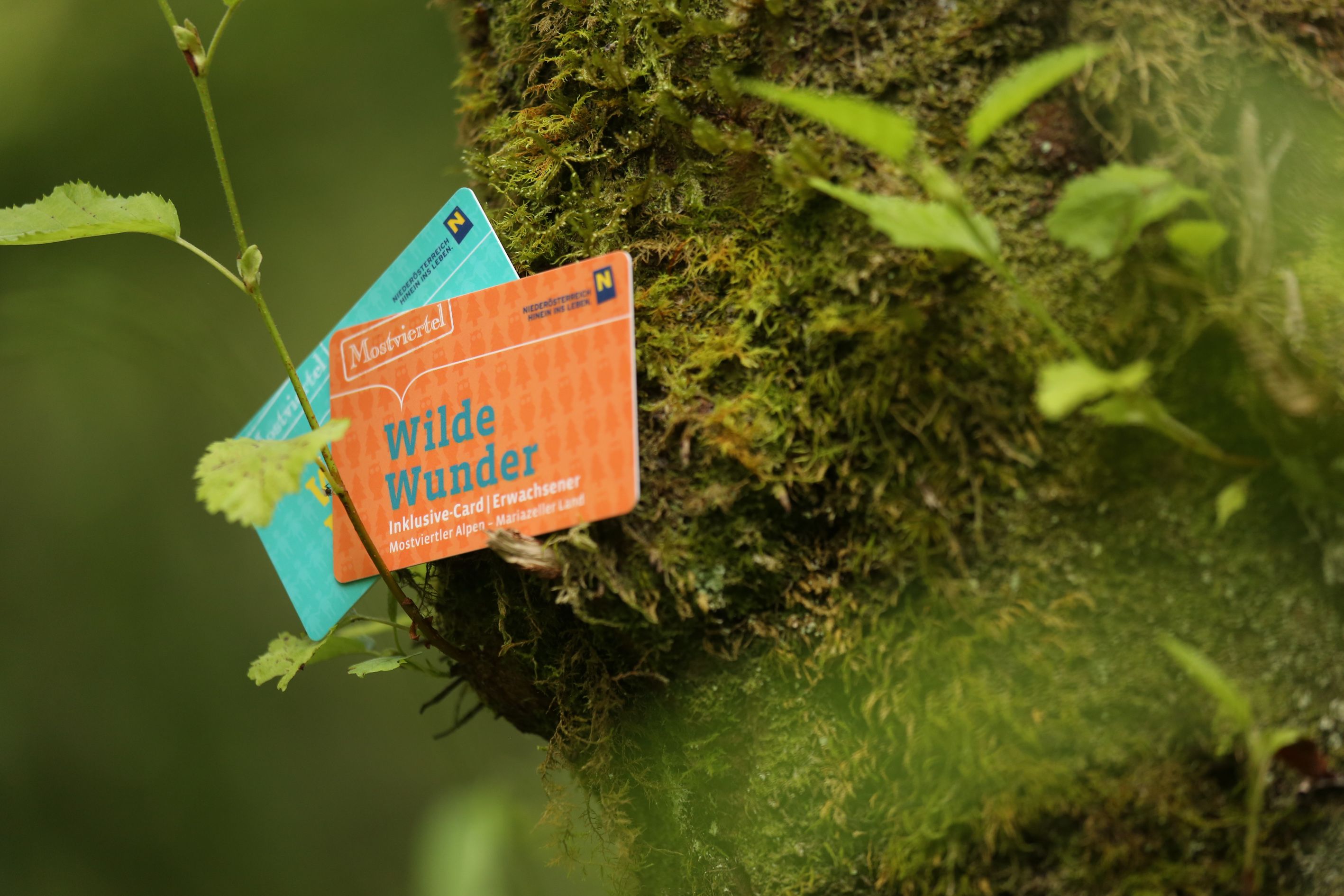 Die Ferienwohnung Leitner ist ein Wilde Wunder Card-Gastgeber.