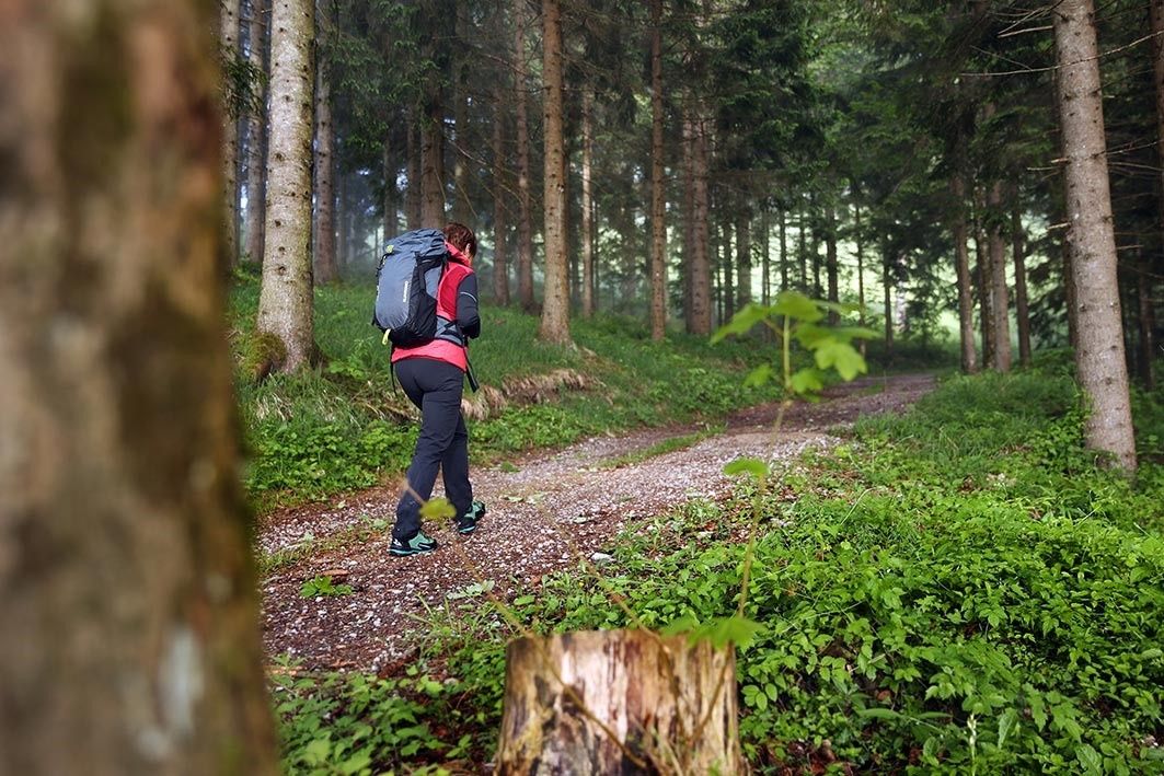 Bureckweg