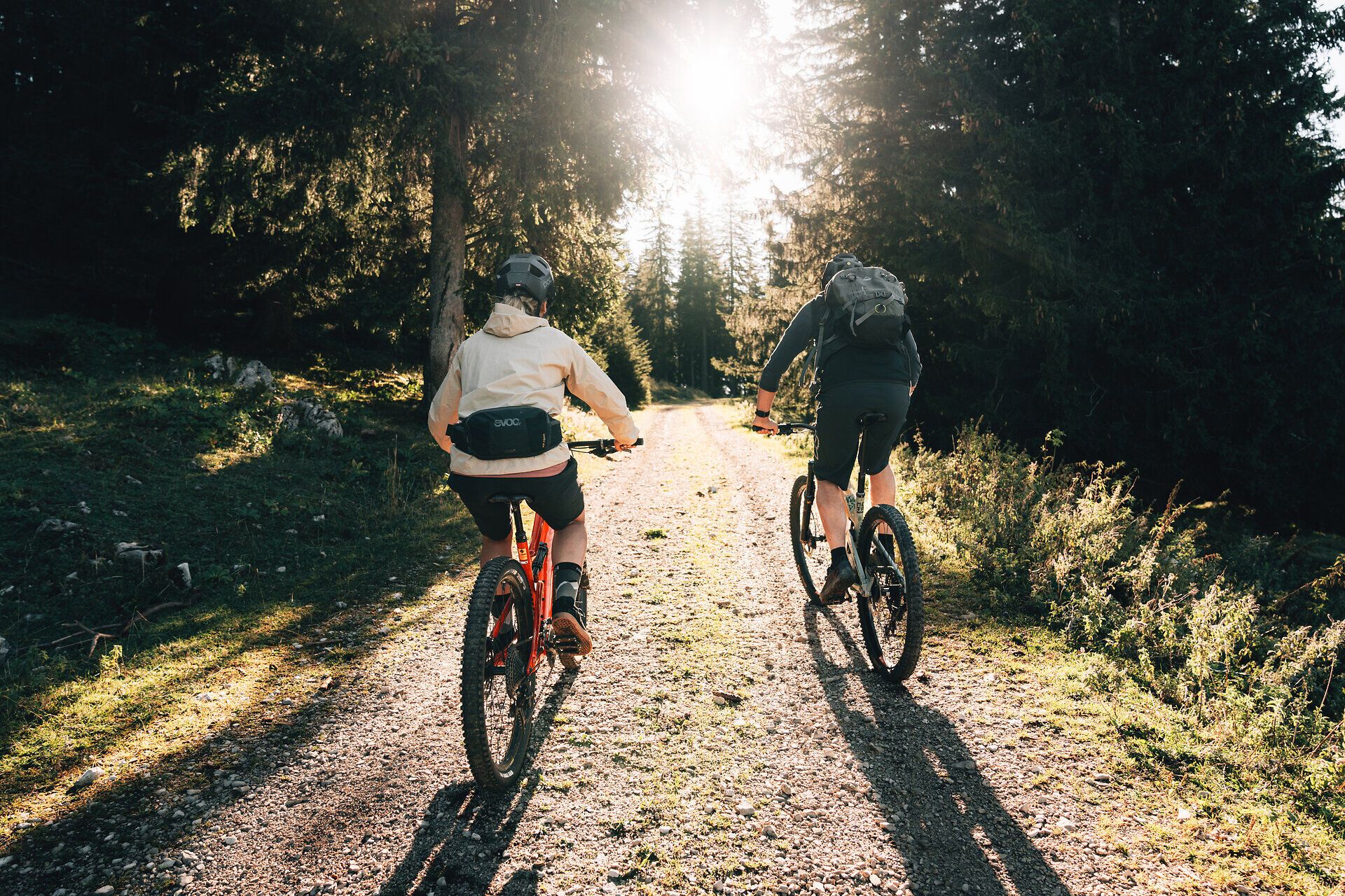 Die Sonne strahlt durch die Bäume und taucht den schmalen Weg in ein warmes Licht. Zwei Radfahrer genießen die frische Bergluft und die atemberaubende Natur, während sie auf ihren Mountainbikes die idyllische Landschaft erkunden. Umgeben von hohen Tannen und sanften Hügeln ist dies der perfekte Ort für ein unvergessliches Abenteuer.