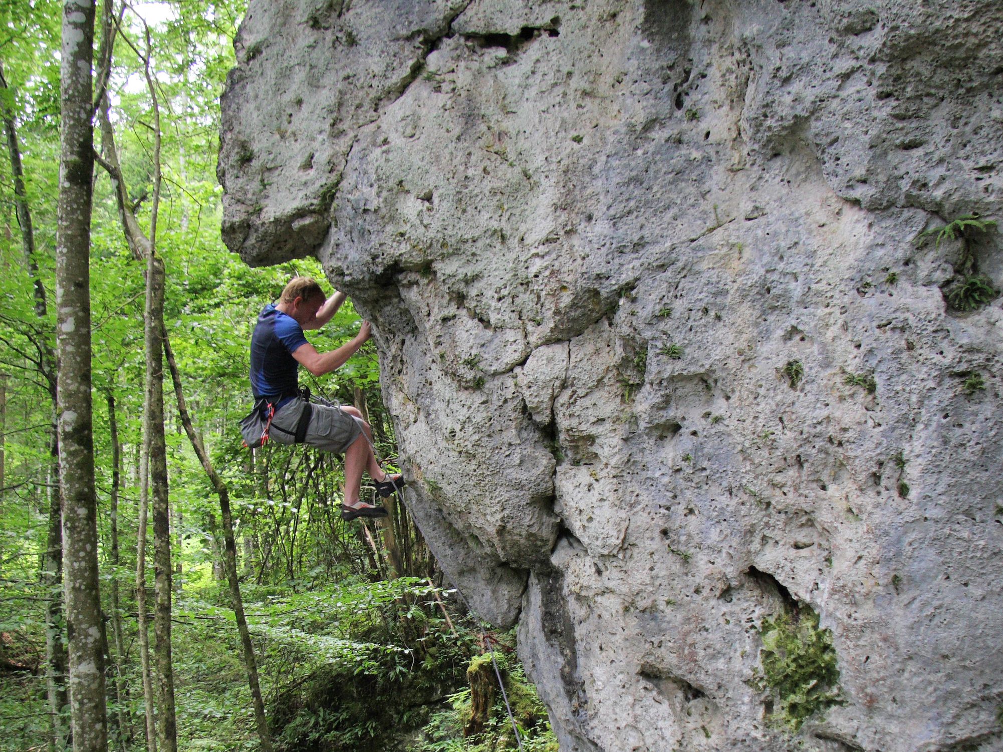 Kletterfelsen in Opponitz