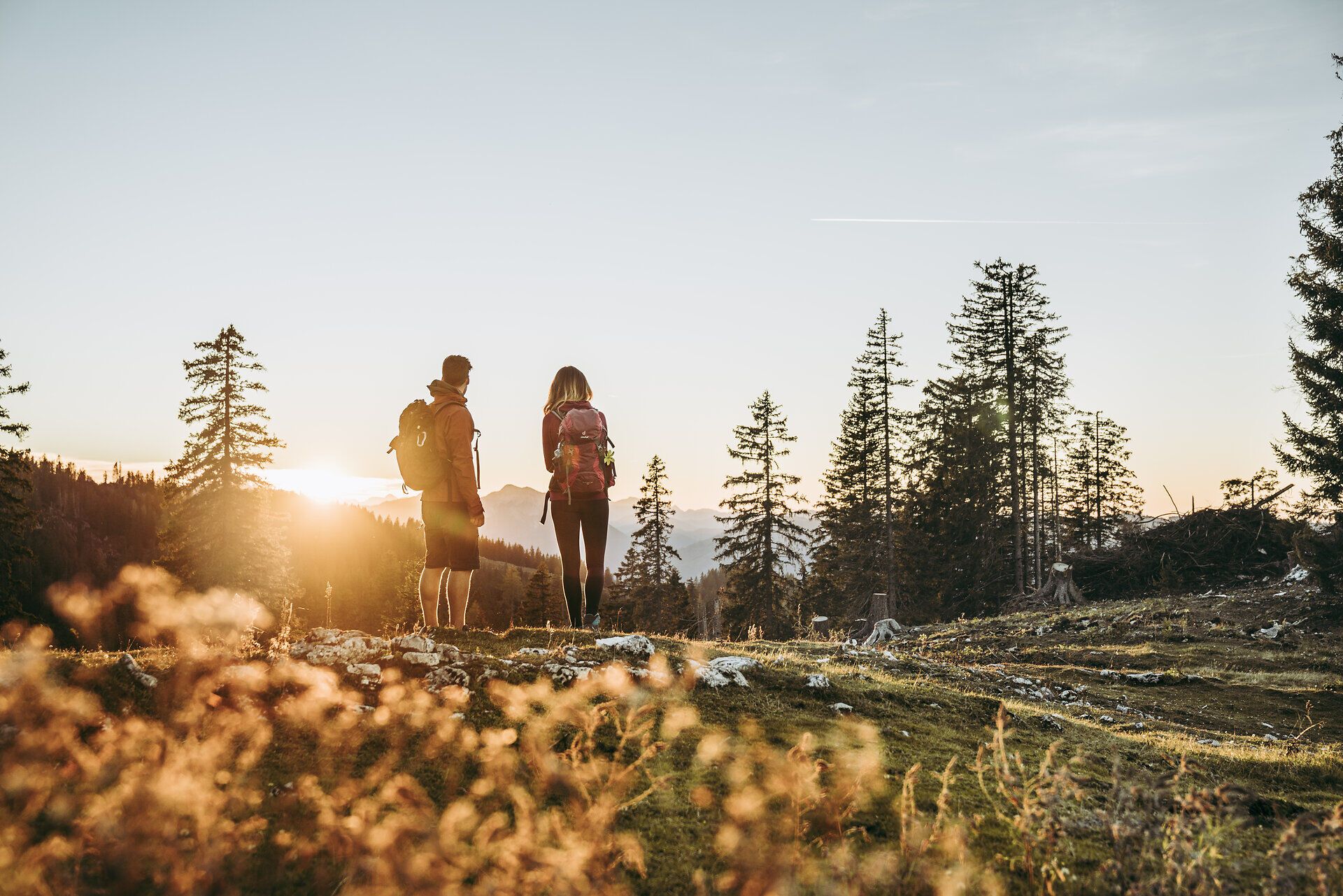 Die sanften Hügel der Ybbstaler Alpen laden zu einem unvergesslichen Abenteuer ein. Zwei Wanderer genießen den atemberaubenden Sonnenuntergang, während die goldenen Strahlen durch die Bäume scheinen und die Landschaft in ein warmes Licht tauchen. Hier, inmitten der Natur, wird jeder Schritt zu einem Erlebnis der Ruhe und Schönheit.