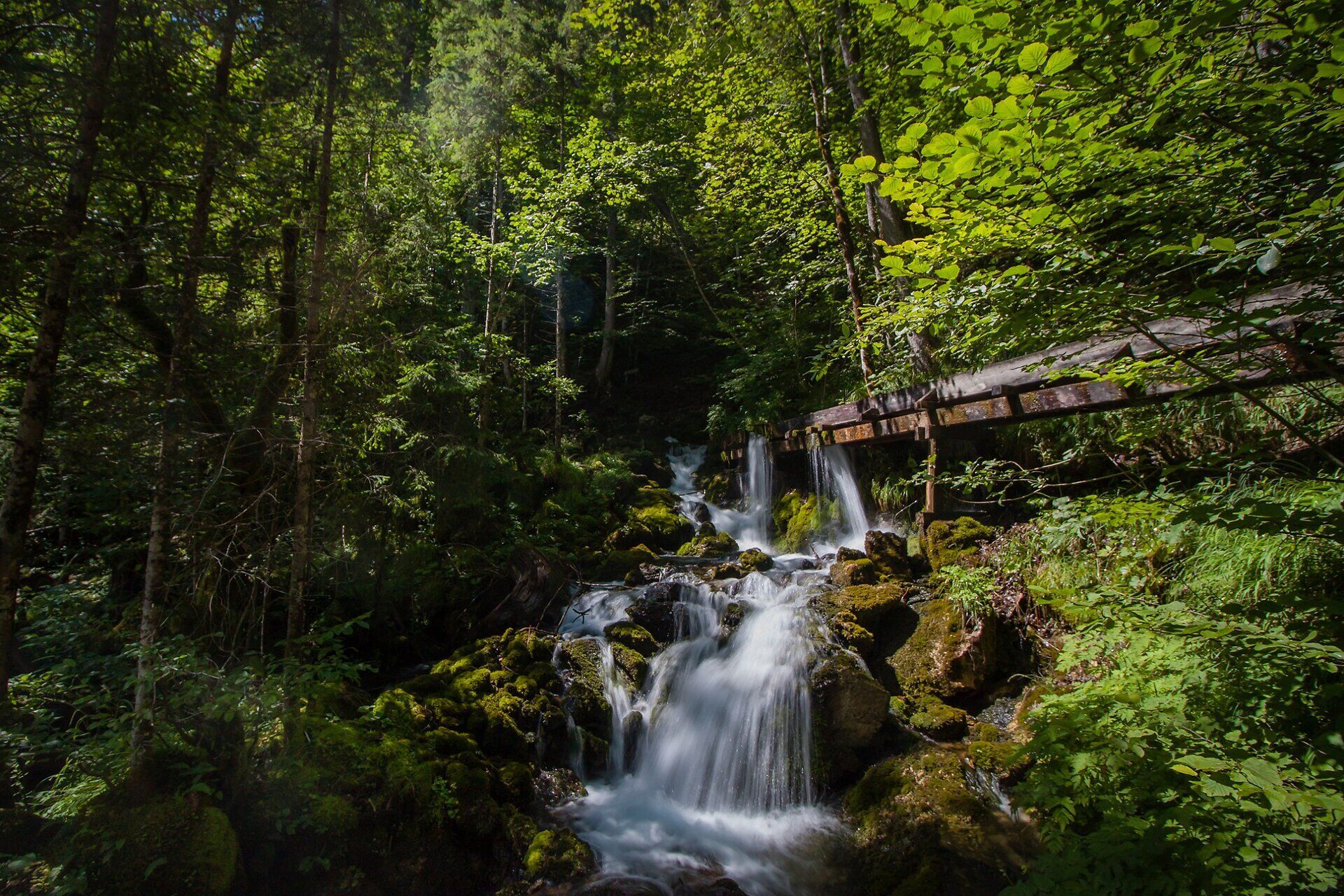 Ein sanfter Wasserfall plätschert zwischen moosbedeckten Steinen und umrahmt von üppigem Grün, das die Sinne belebt. Die frische, klare Luft und das beruhigende Geräusch des Wassers laden zu einem entspannenden Spaziergang ein, während die Natur in voller Pracht erblüht.