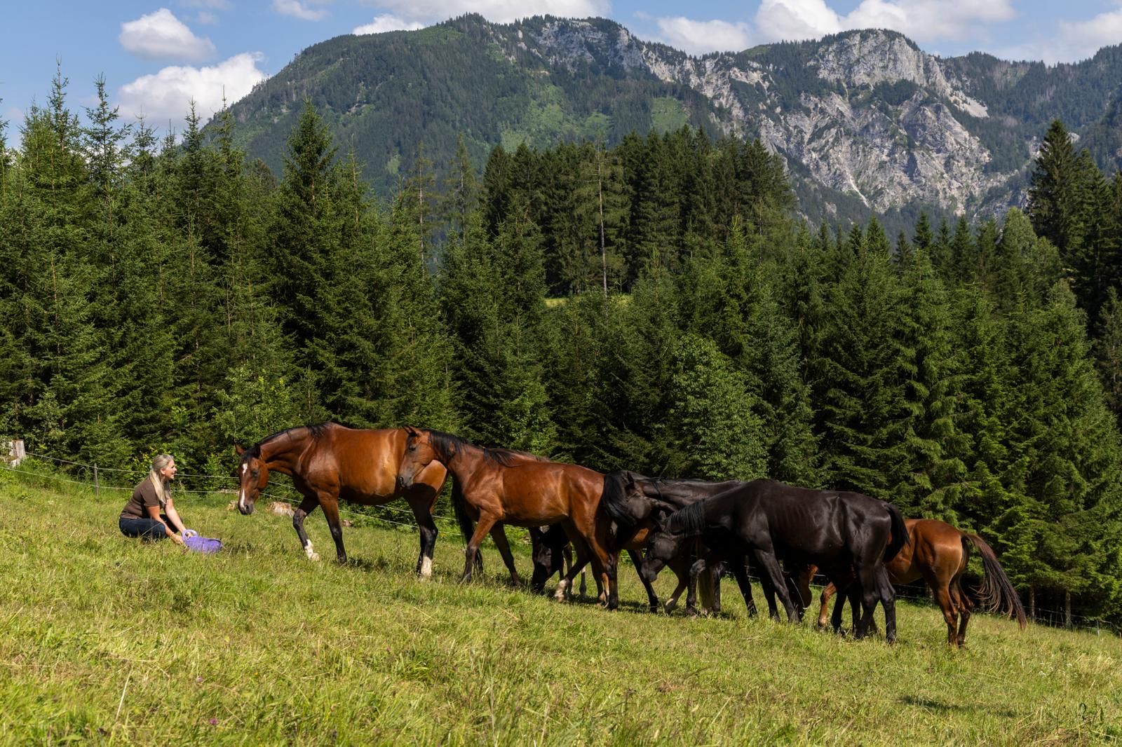 Eine Frau sitzt auf einer Wiese vor einer Gruppe von Pferden, umgeben von Wald und Bergen im Hintergrund.