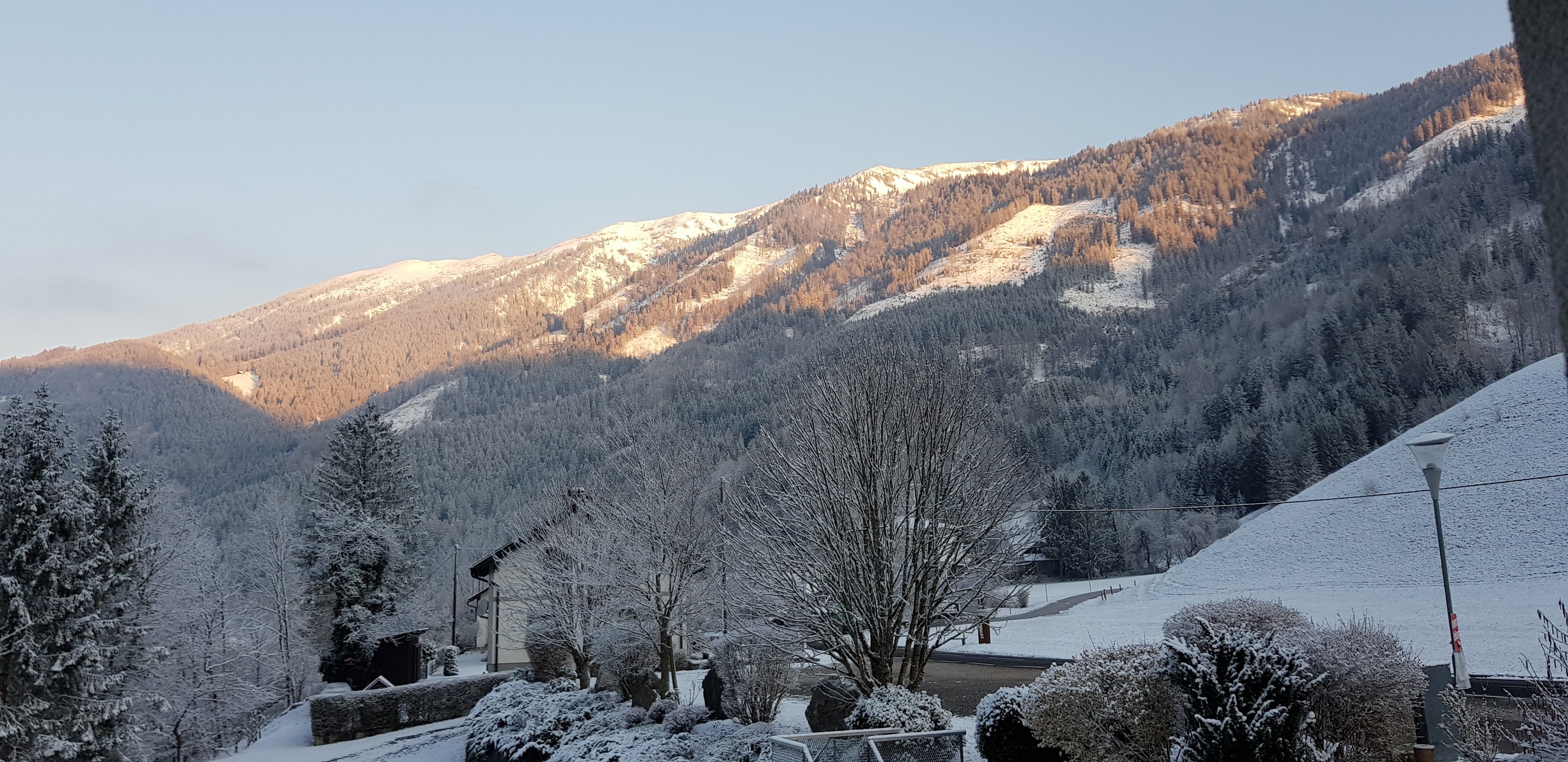 winterlicher Gamsstein