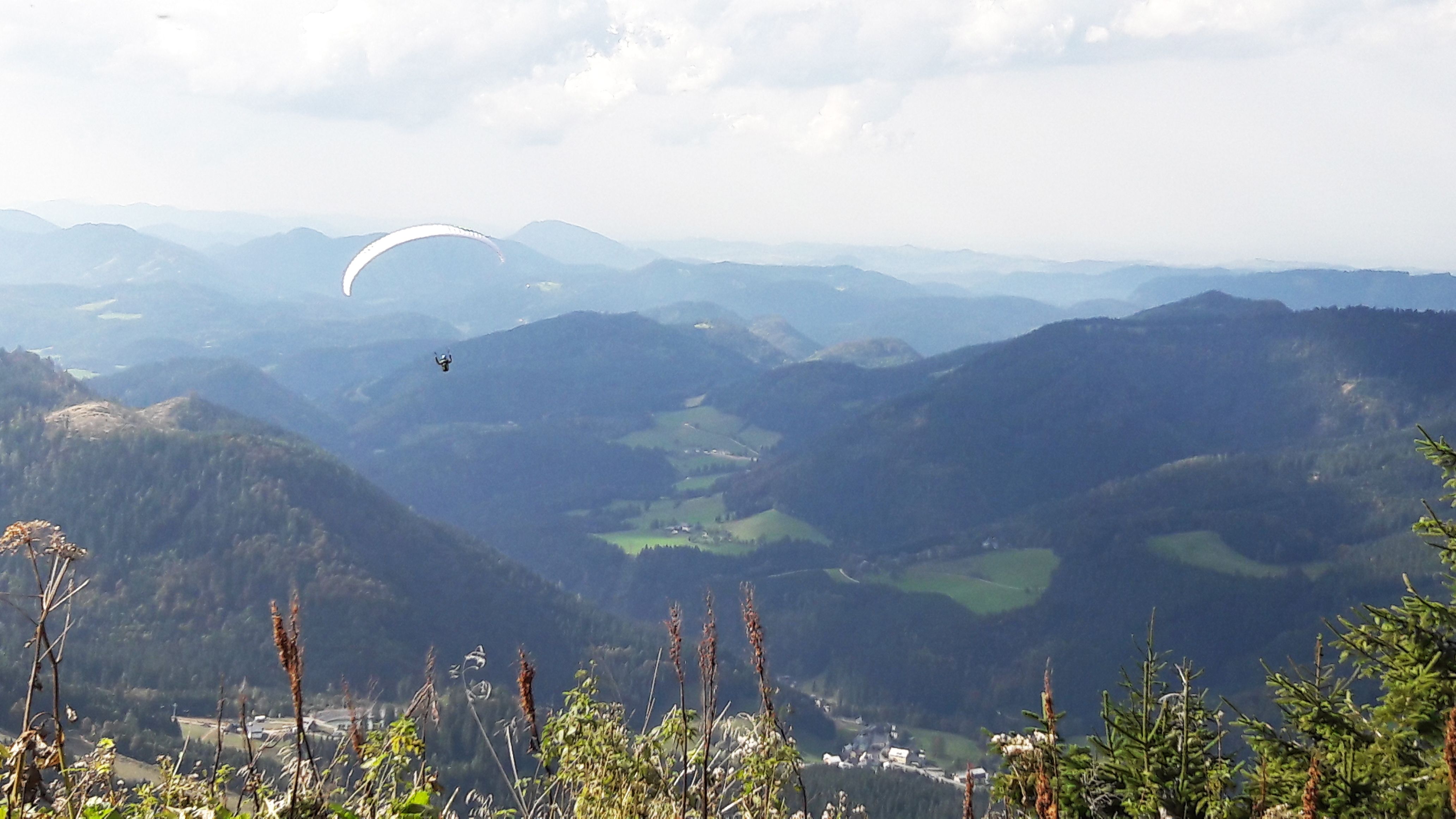 Paragleiter am Ötscher