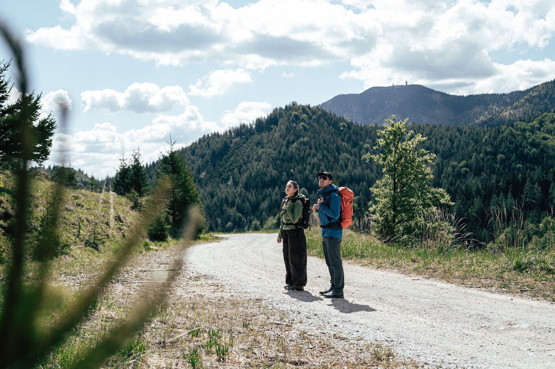 Zwei Wandernde stehen auf einem Schotterweg am Luchs Trail mit Blick auf die Ötscherlandschaft.