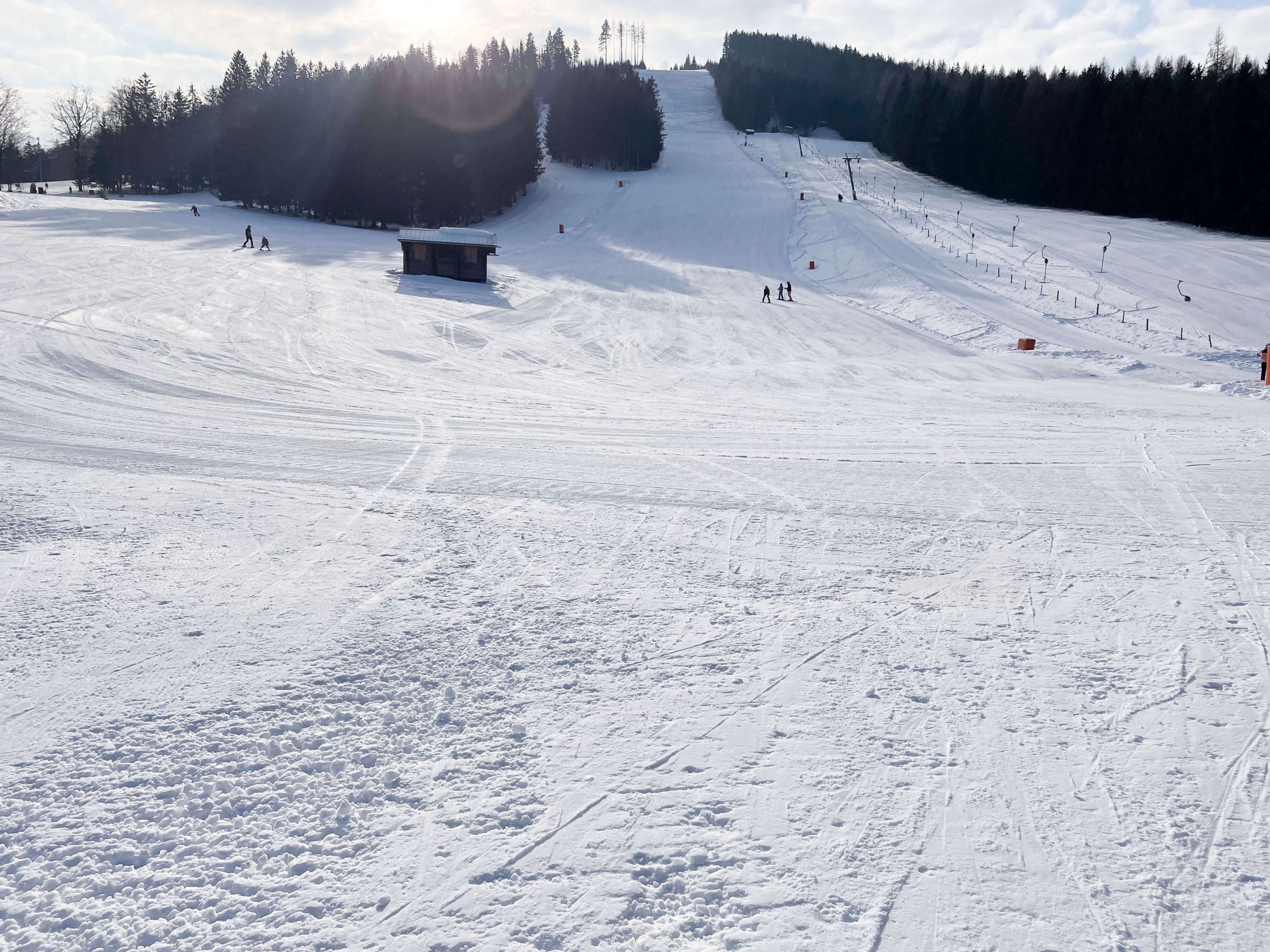 Forsteralm