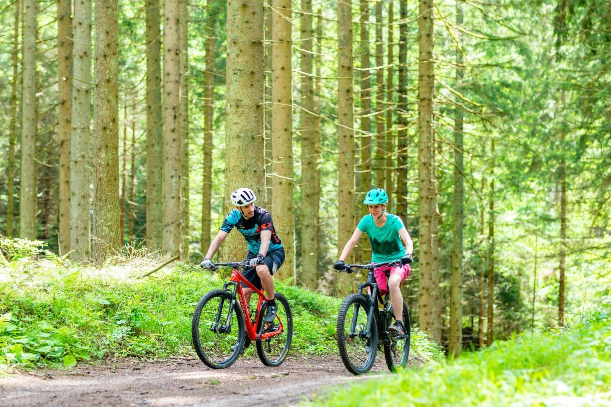 MTB_Wald