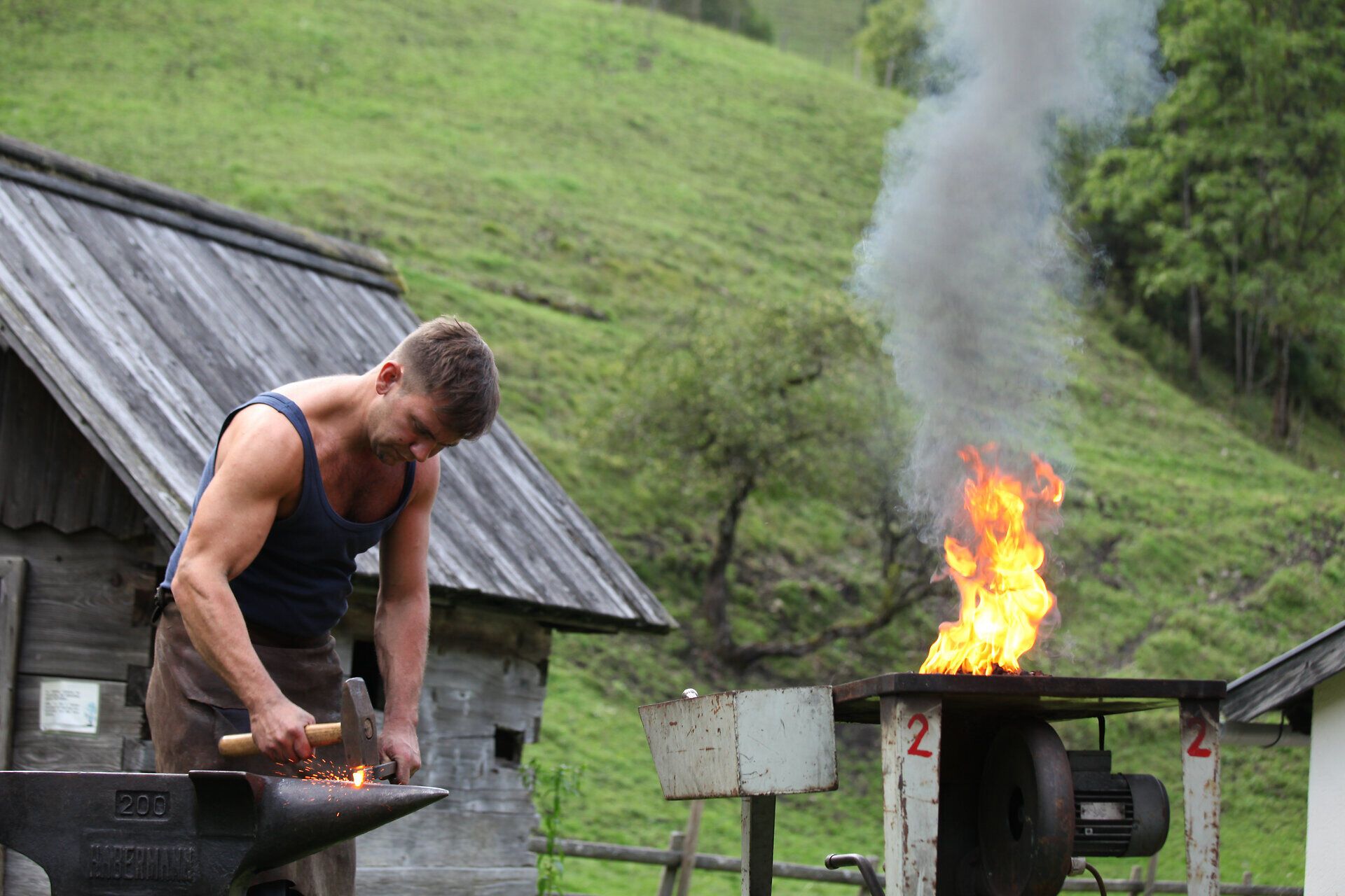 Inmitten der malerischen Ybbstaler Alpen entfaltet sich die Kunst des Schmiedens. Funken sprühen, während der Schmied mit Geschick und Leidenschaft das glühende Eisen formt. Diese Tradition, tief verwurzelt in der Region, zieht Besucher in ihren Bann und lässt sie die Handwerkskunst hautnah erleben.
