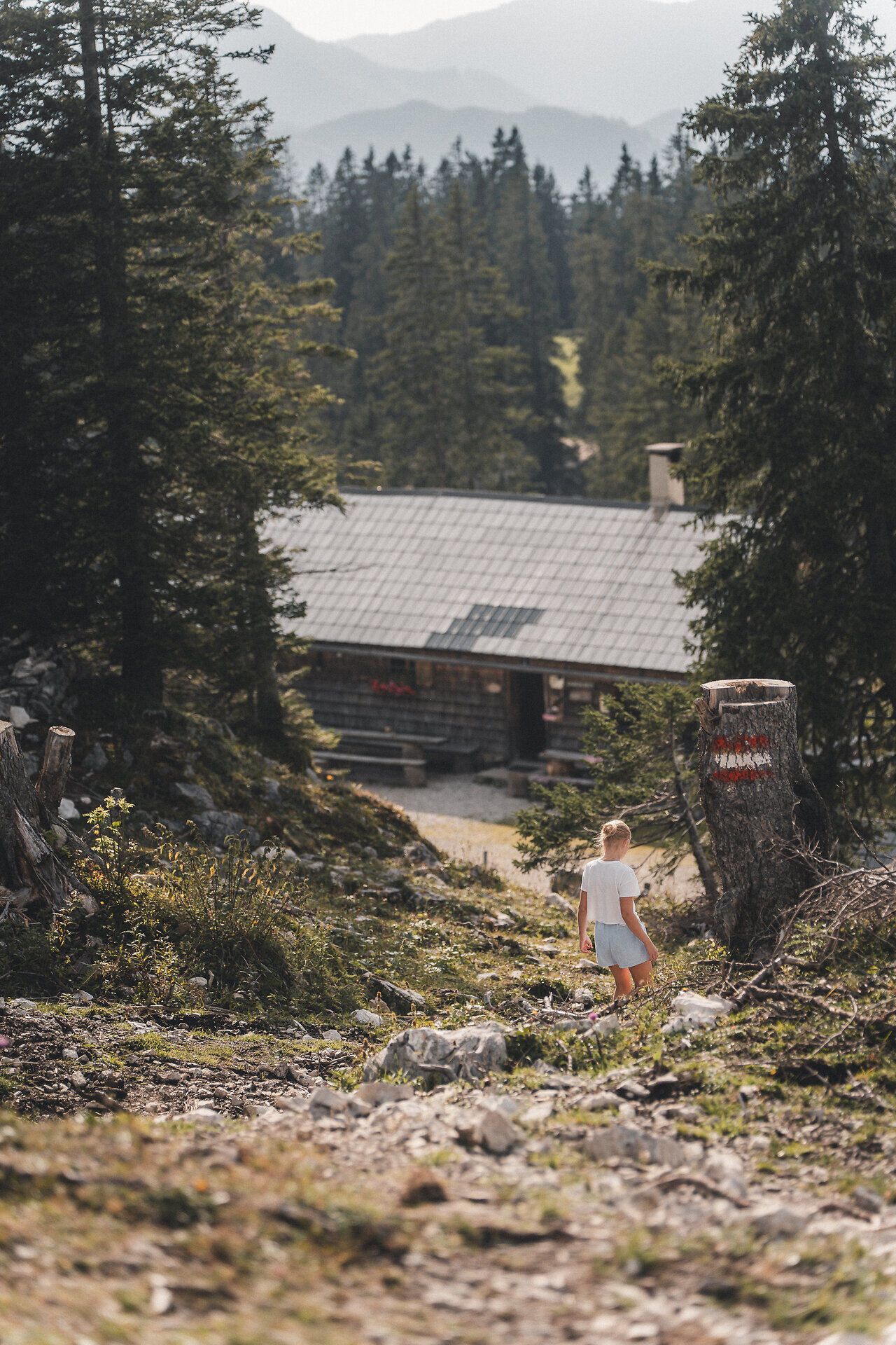 Almhütte zwischen Bäumen entlang eines Wanderwegs.