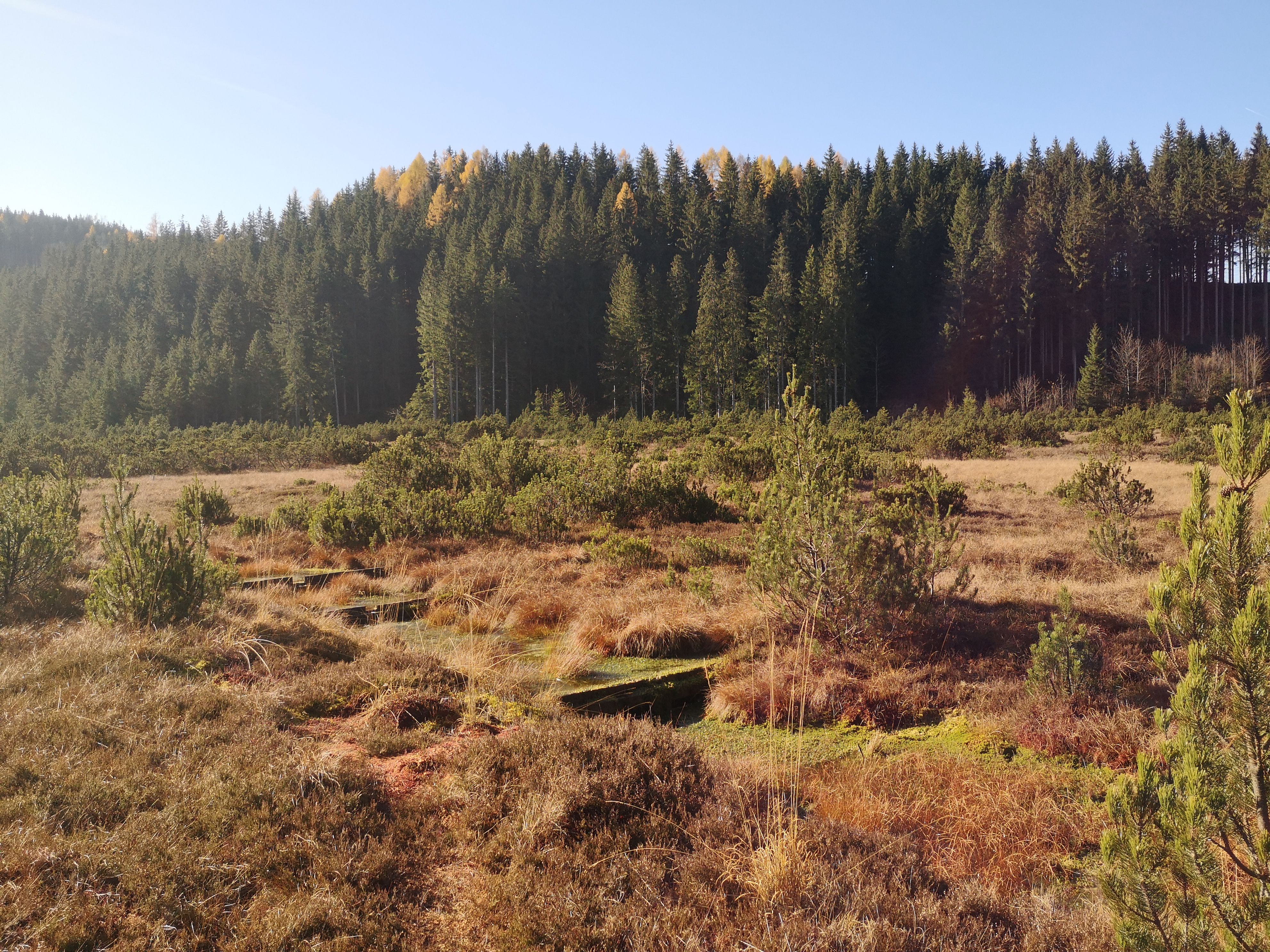 Hochreit_c_YTA (45)