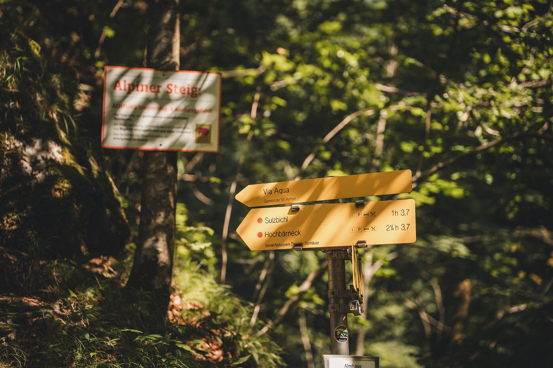 Nahaufnahme eines gelben Wegweisers zu dem Pilgerweg Via Aqua und den Wanderwegen Sulzbichl und Hochbärneck, umgeben von Waldboden und Farnen. Im Hintergrund ein Sicherheitshinweis für den Alpinen Aufstieg.