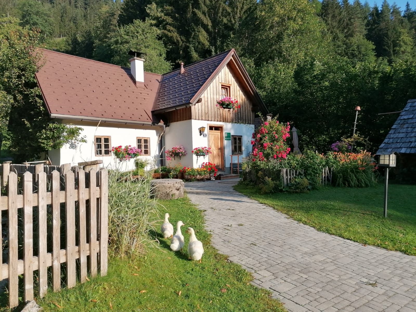 ferienhaus-lenzau-1