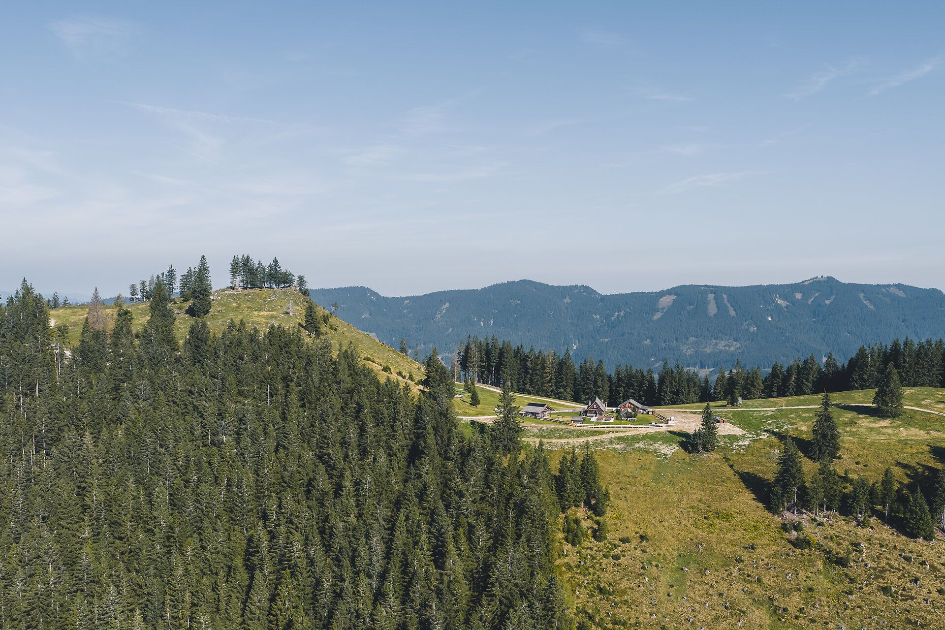 Weitblick über bewaldete Hügel und Landschaften auf der Alm Siebenhütten.
