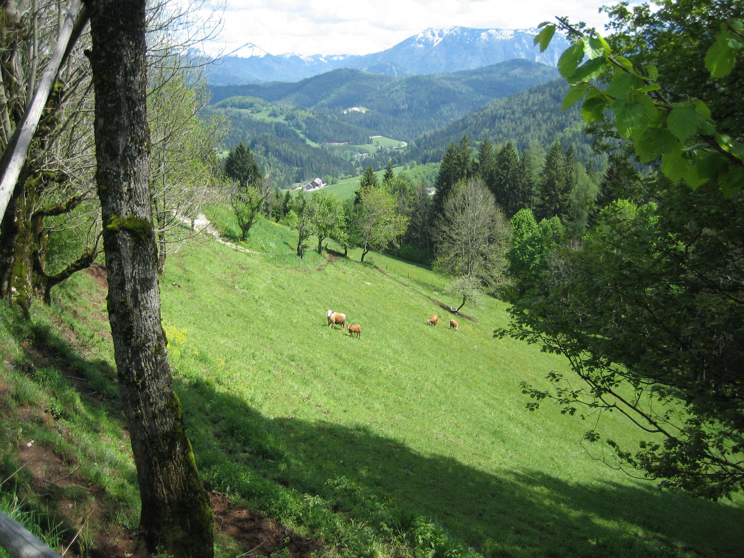Höhensteinrunde