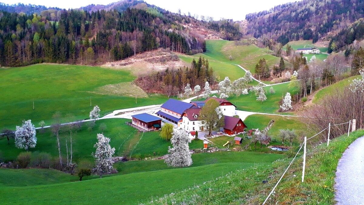 Urlaub am Bauernhof-Oberrehau