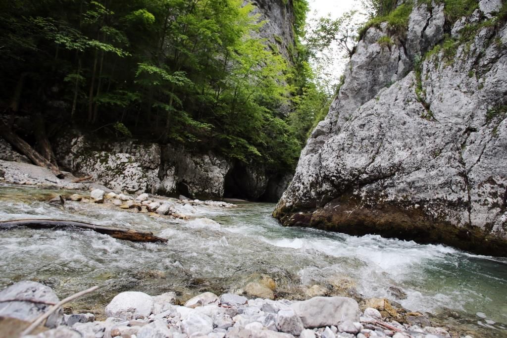 Trefflingfall