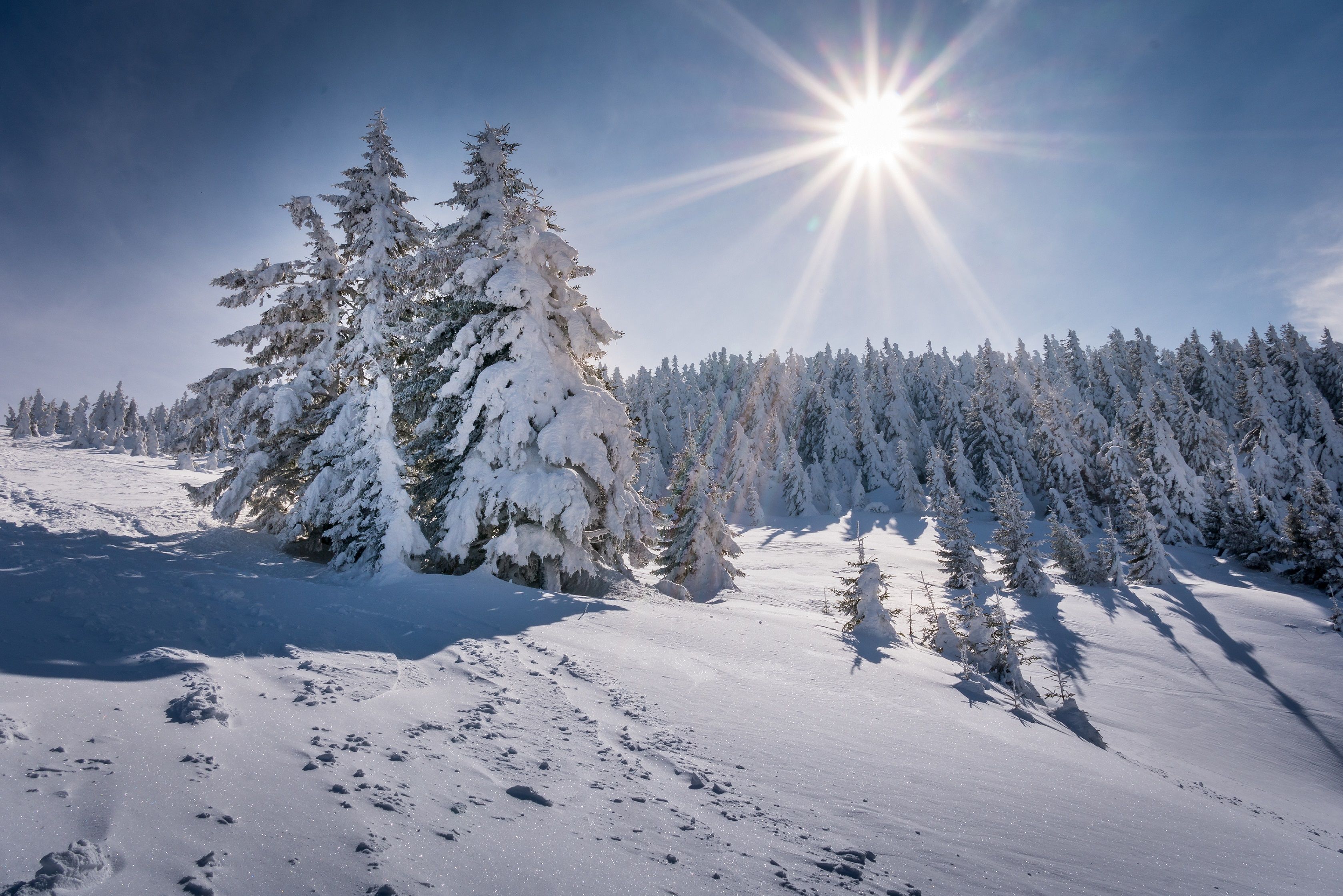 Winterstimmung