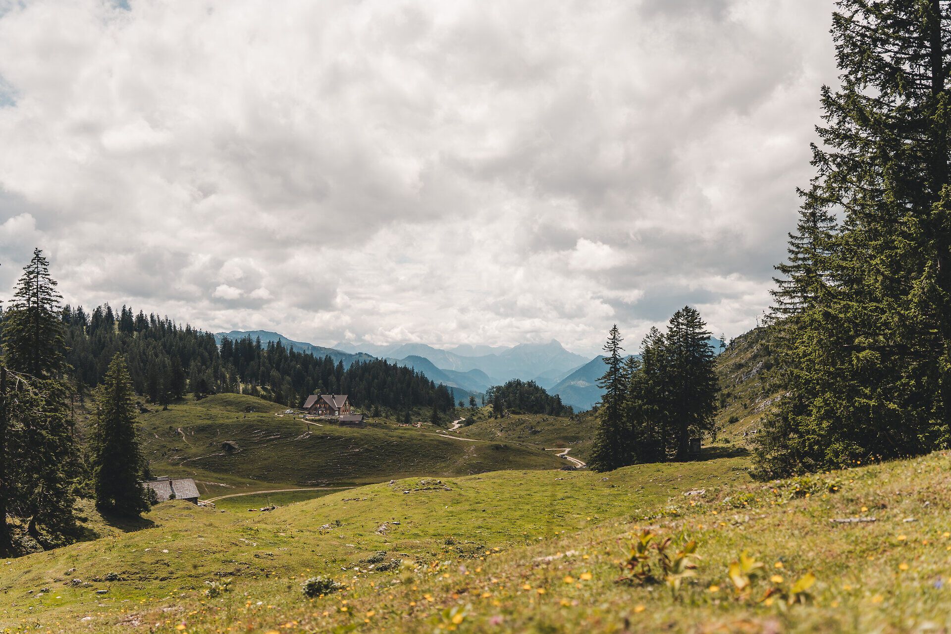Almlandschaft rund um die Ybbstalerhütte im Mostviertel.