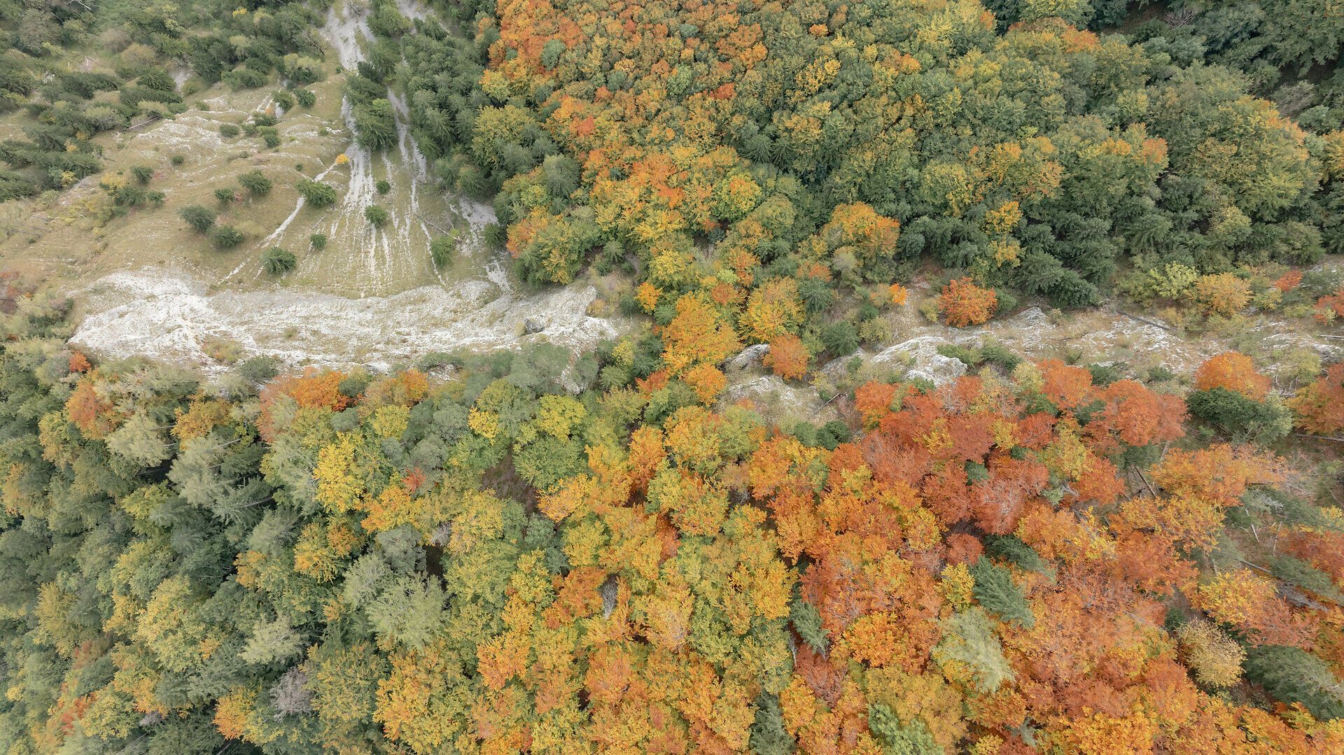 Die herbstlichen Farben der Wälder strahlen in warmen Tönen und laden zu einem unvergesslichen Wandererlebnis ein. Die sanften Hügel und die klare Luft schaffen eine harmonische Atmosphäre, die die Seele berührt. Hier, im Herzen des Naturparks, entfaltet sich die Schönheit der Natur in voller Pracht.