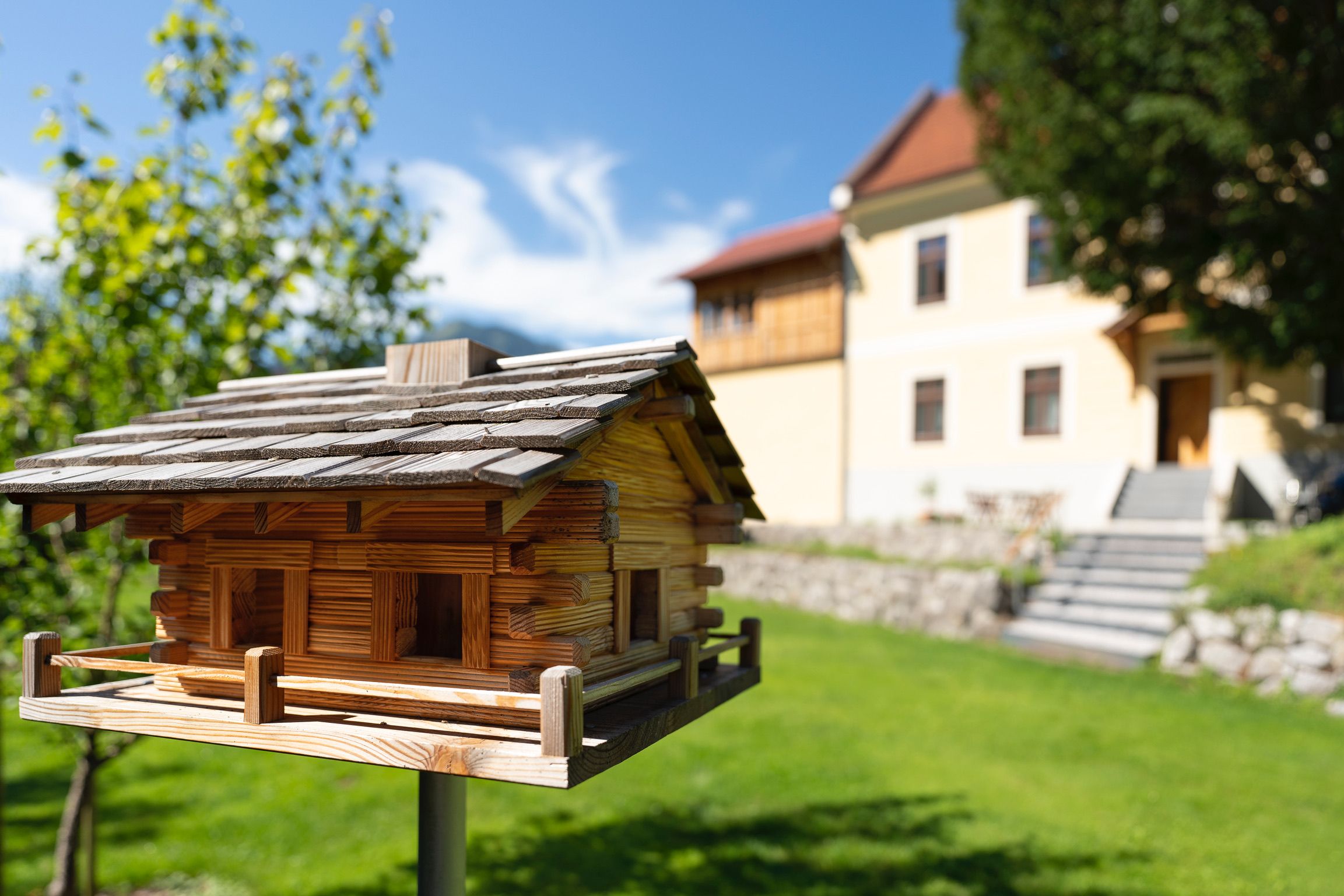 Vogelhaus im Garten