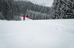 In der winterlichen Stille der Ybbstaler Alpen gleiten zwei Wanderer durch den unberührten Schnee. Die schneebedeckten Bäume um sie herum schaffen eine märchenhafte Kulisse, während die frische Bergluft die Sinne belebt. Ein unvergessliches Erlebnis abseits der Pisten, das die Schönheit der Natur in ihrer reinsten Form zeigt.