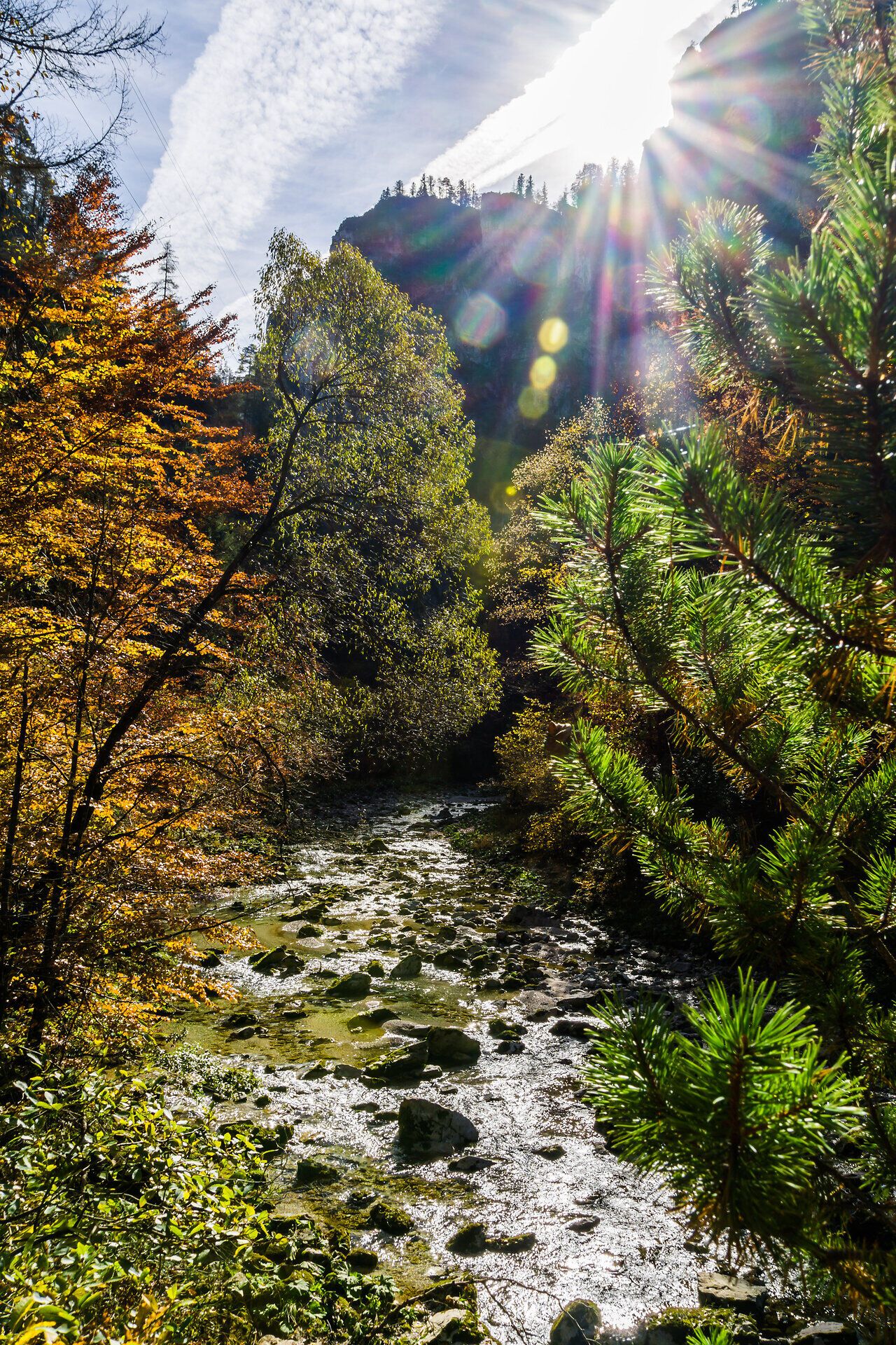 Die goldenen Blätter der Bäume spiegeln sich im glitzernden Wasser des Baches, während die sanften Strahlen der Herbstsonne durch die Äste brechen. Diese malerische Szenerie lädt Wanderer ein, die Ruhe und Schönheit der Natur zu genießen und die frische, klare Luft einzuatmen.