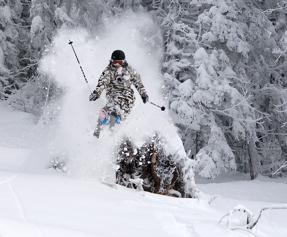 Skifahrer springt durch Pulverschnee im Wald.