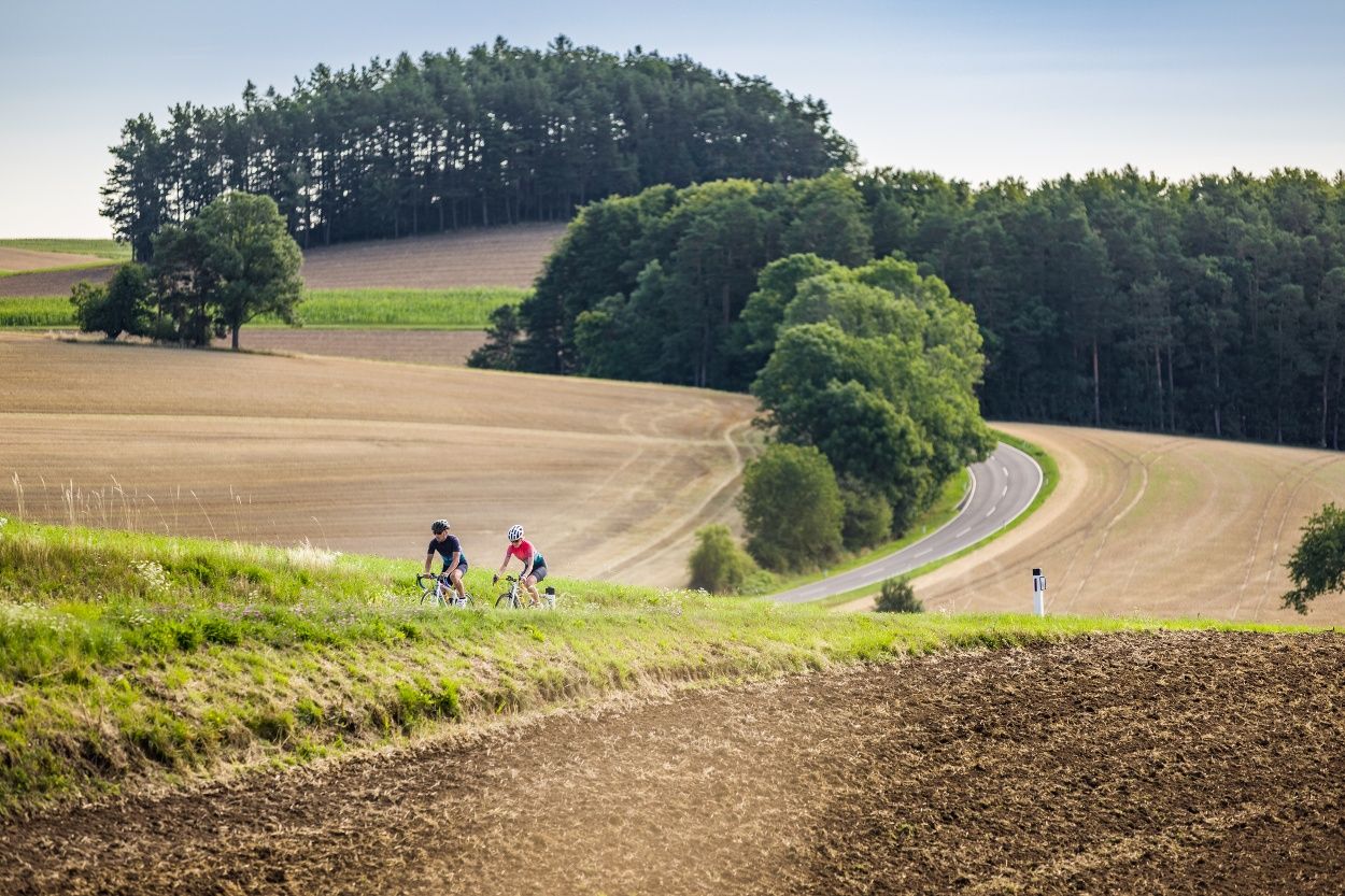 Roadbike Wirtshauskult(o)ur – RadGenuss in NÖ