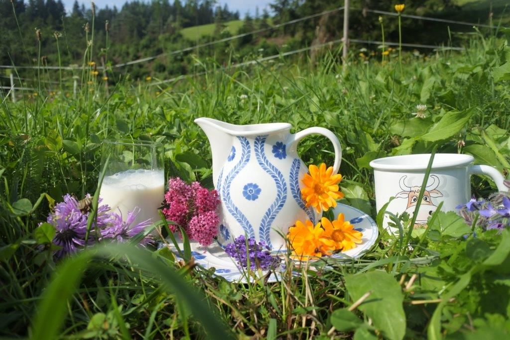 Bio-Heumilch