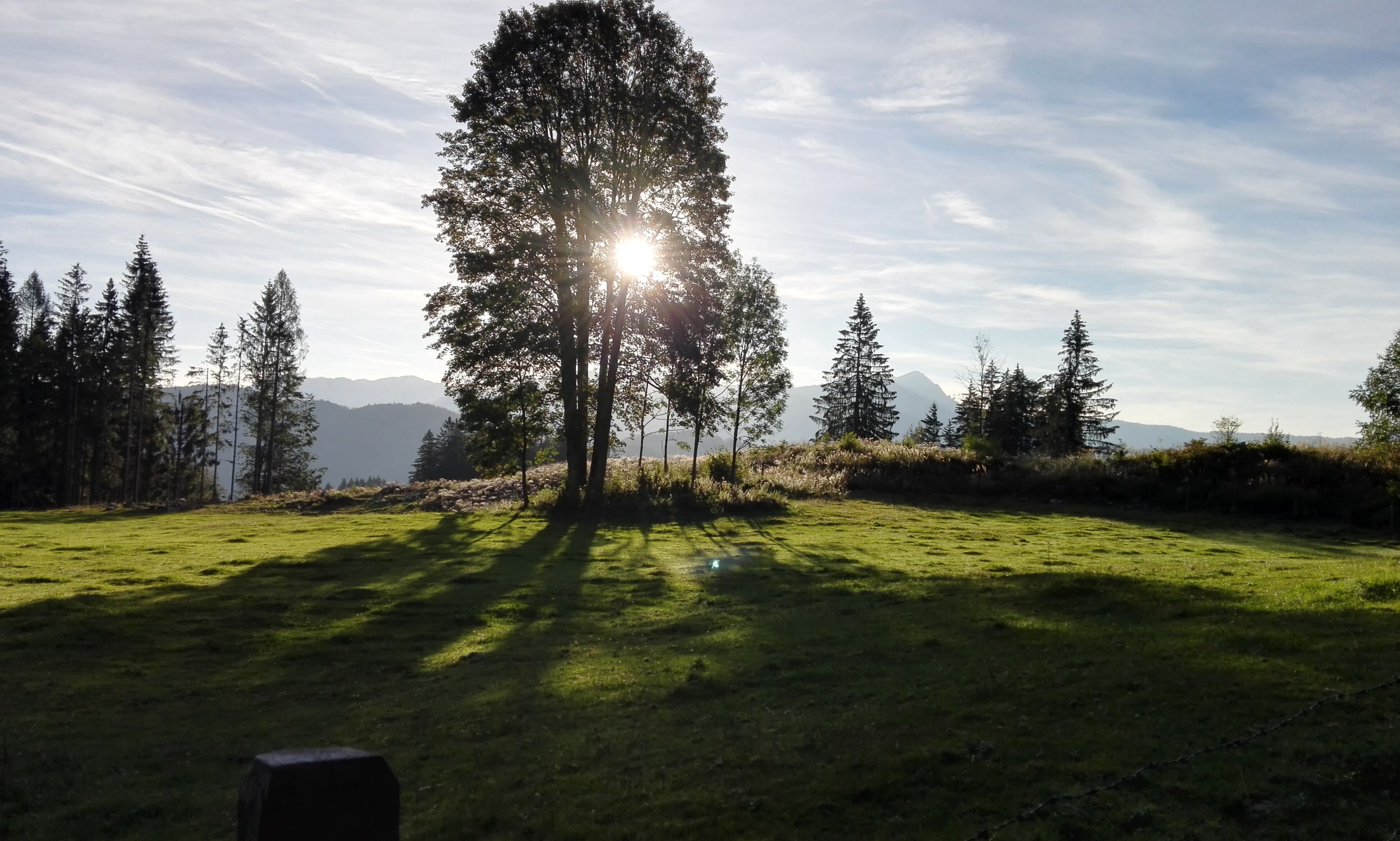 sonnenaufgang-bergwiese