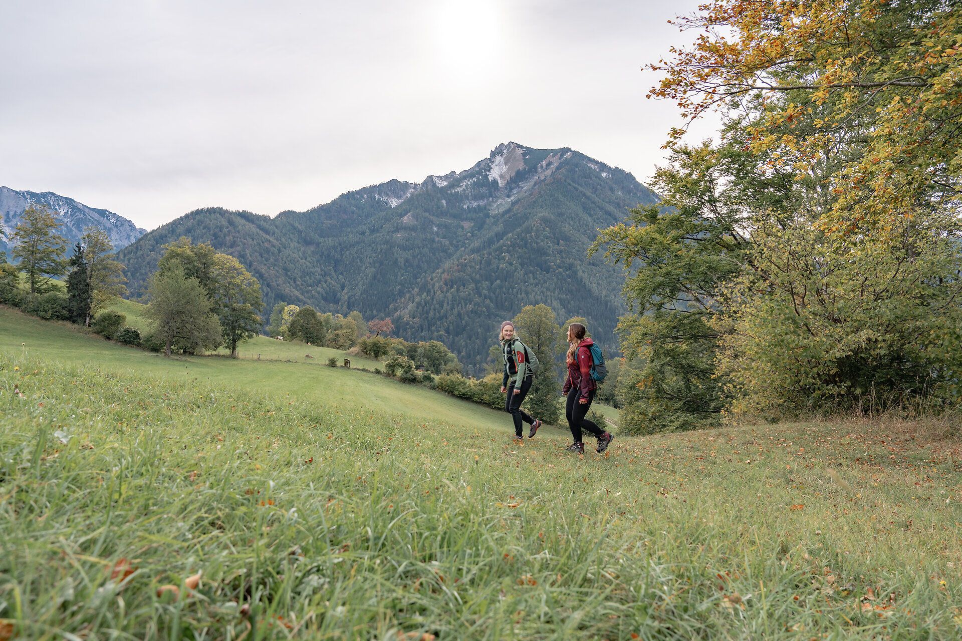 Die sanften Hügel der Ybbstaler Alpen laden zu einem unvergesslichen Herbstspaziergang ein. Zwei Wanderer genießen die frische Luft und die atemberaubende Aussicht auf die umliegenden Berge, während die bunten Blätter der Bäume in warmen Farben leuchten. Hier, inmitten der Natur, wird jeder Schritt zu einem Erlebnis der Ruhe und des Staunens.