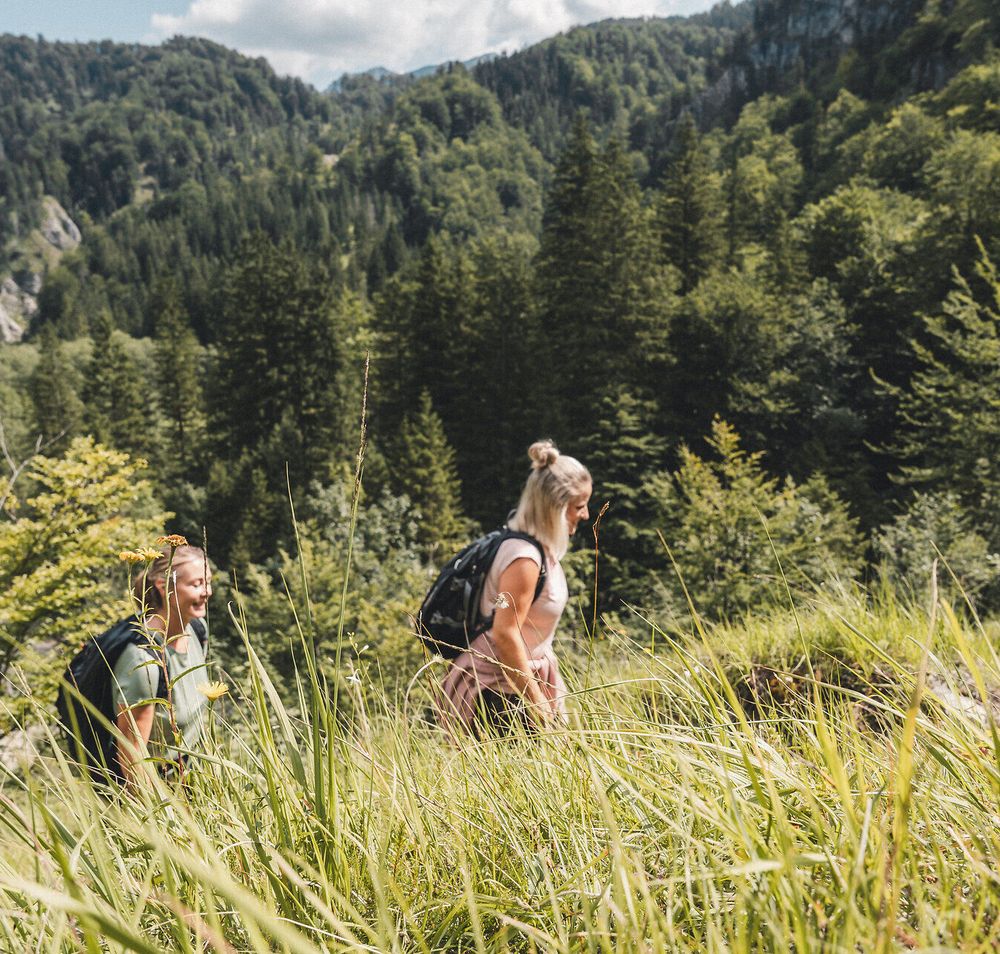 Wildnisgebiet Dürrenstein