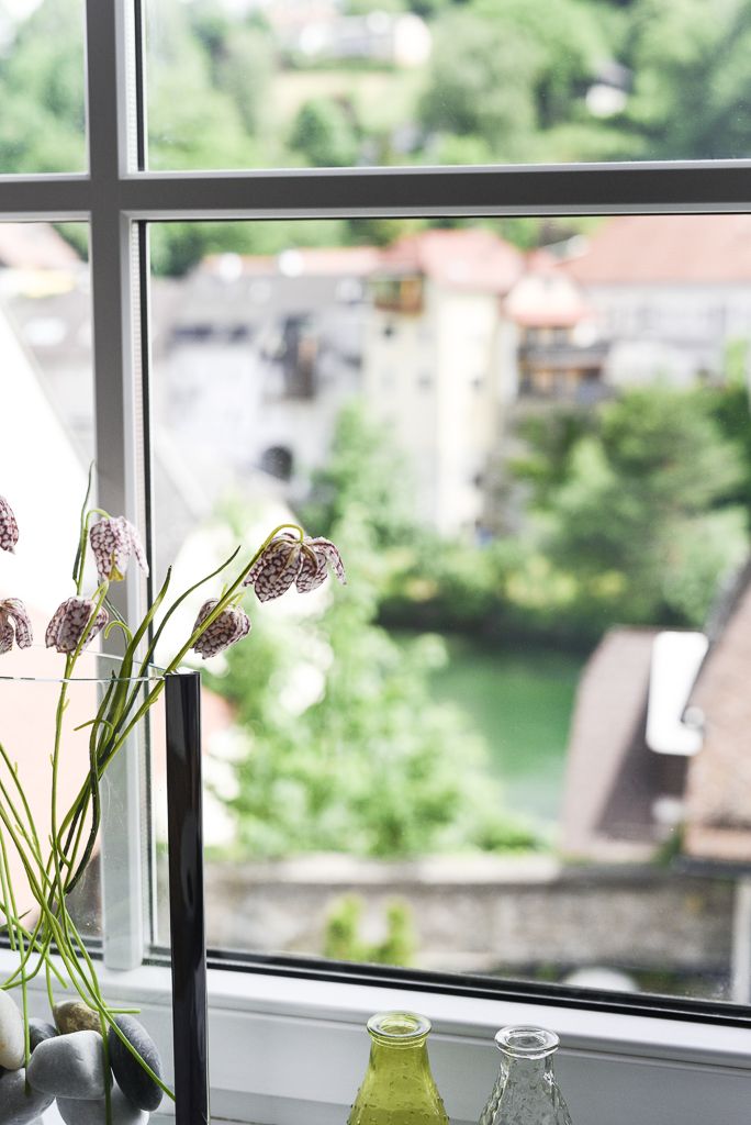 Apartment Zum Ybbsturm