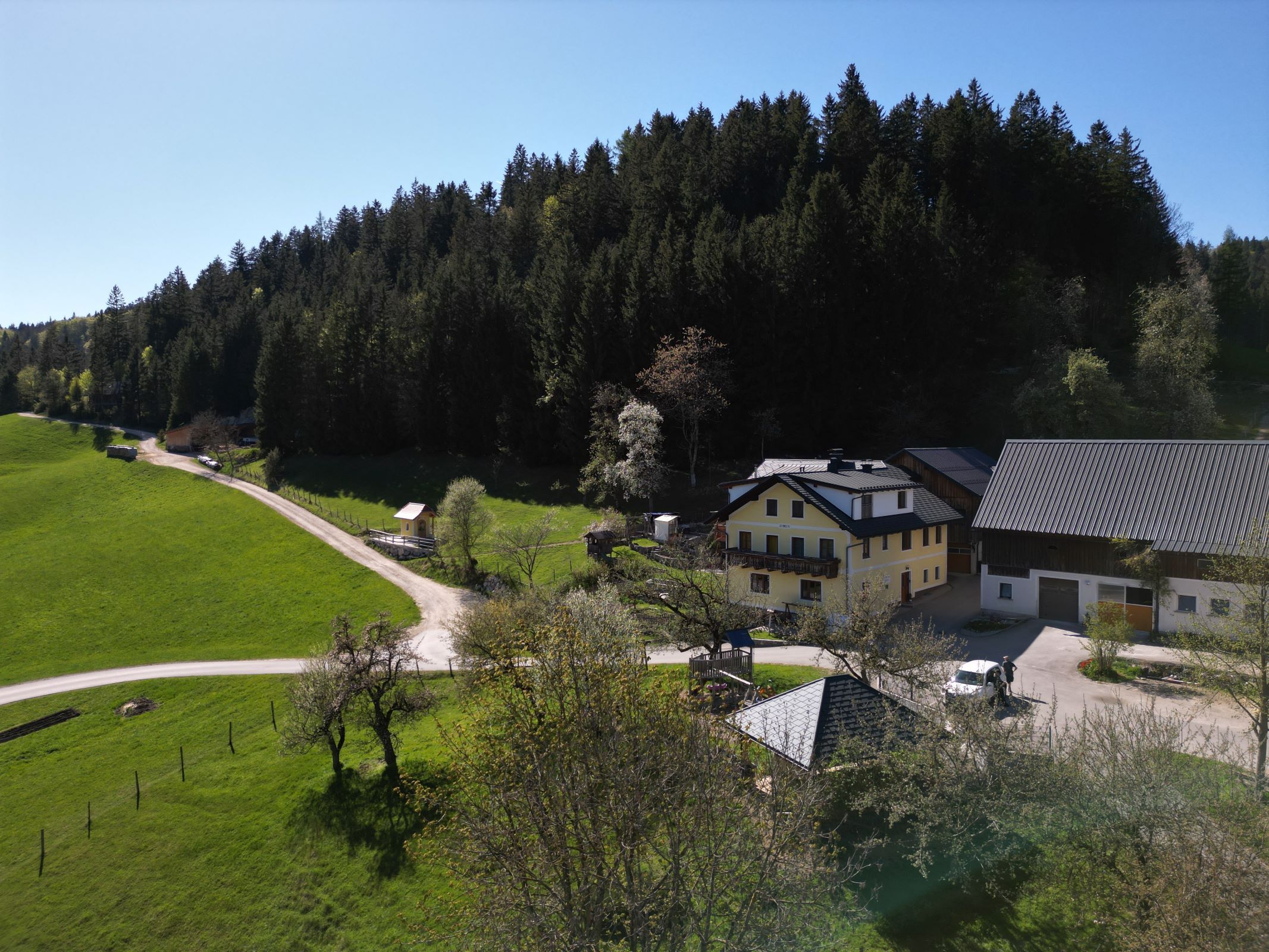 Ländliche Szene mit einem gelben Haus und Scheunen, umgeben von grünen Wiesen und Wäldern.