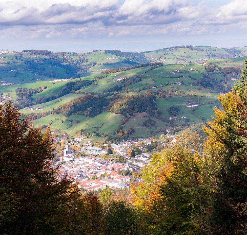Buchenberg