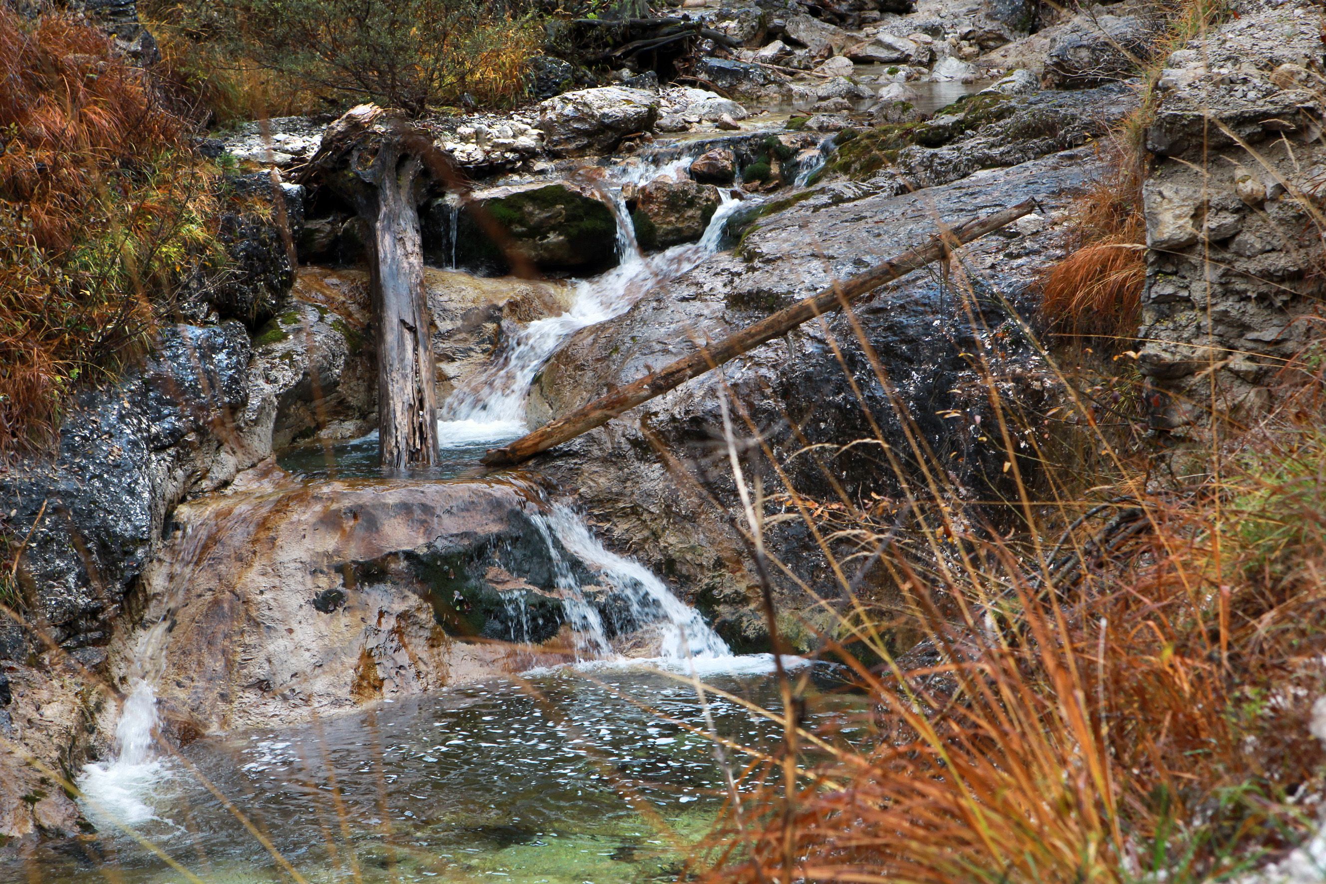 Kleiner Wasserfall im Wildnisgebiet Dürrenstein mit Felsen und herbstlicher Vegetation.