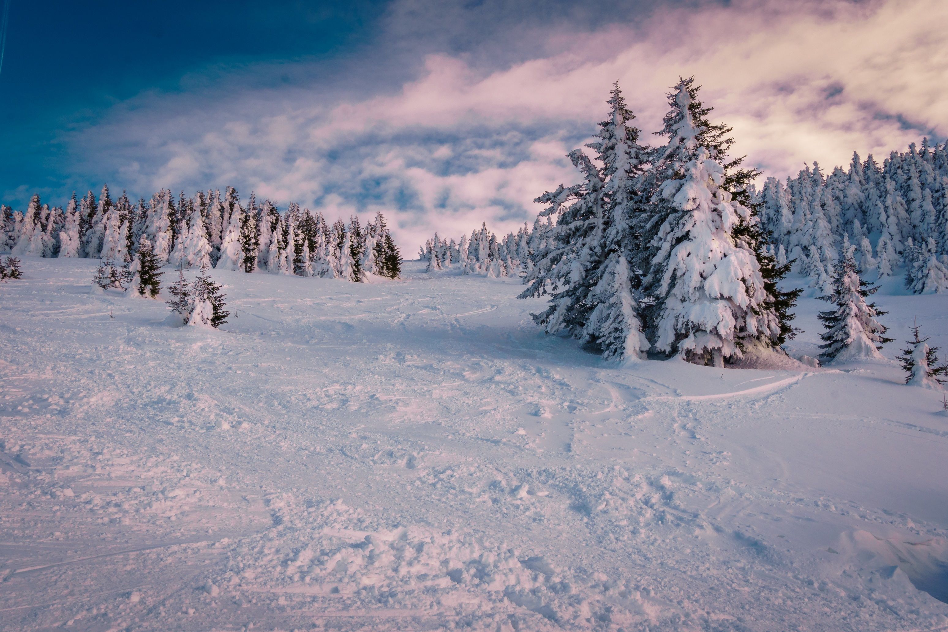 Winterstimmung