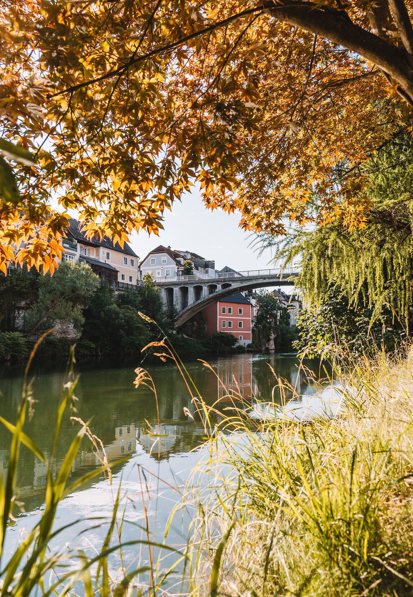 Blick von der Ybbsuferpromenade in Waidhofen an der Ybbs auf den Fluss mit herabhängenden Baumkronen im Vordergrund, Bogenbrücke und bunten Altstadthäusern, die sich im Wasser spiegeln.