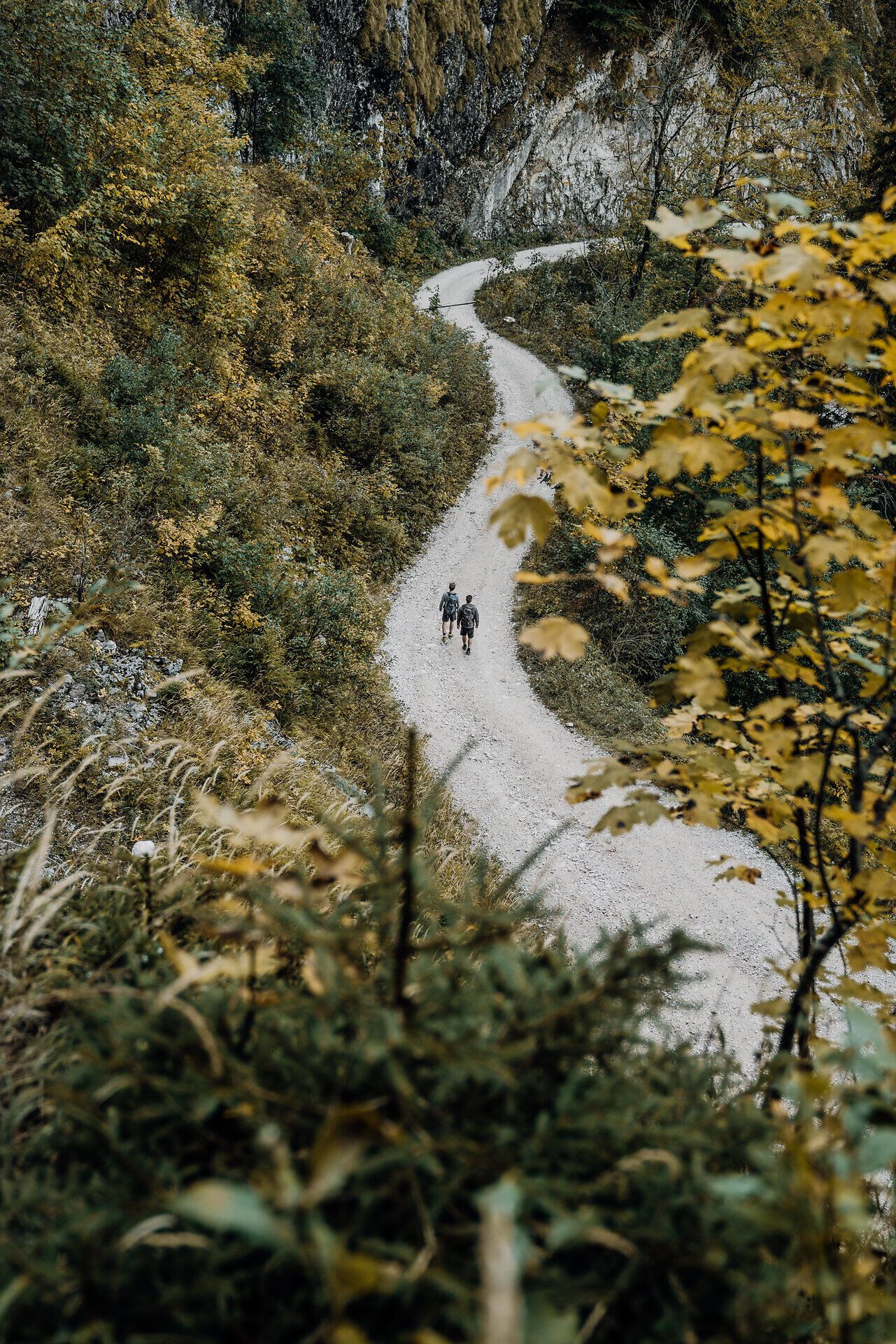 Ein sanfter Wanderweg schlängelt sich durch die herbstlich gefärbten Wälder der Ybbstaler Alpen. Die goldenen Blätter der Bäume leuchten in der warmen Sonne, während zwei Wanderer in der Ferne die Ruhe der Natur genießen. Hier, wo die Luft frisch und klar ist, wird jeder Schritt zu einem Erlebnis der besonderen Art.