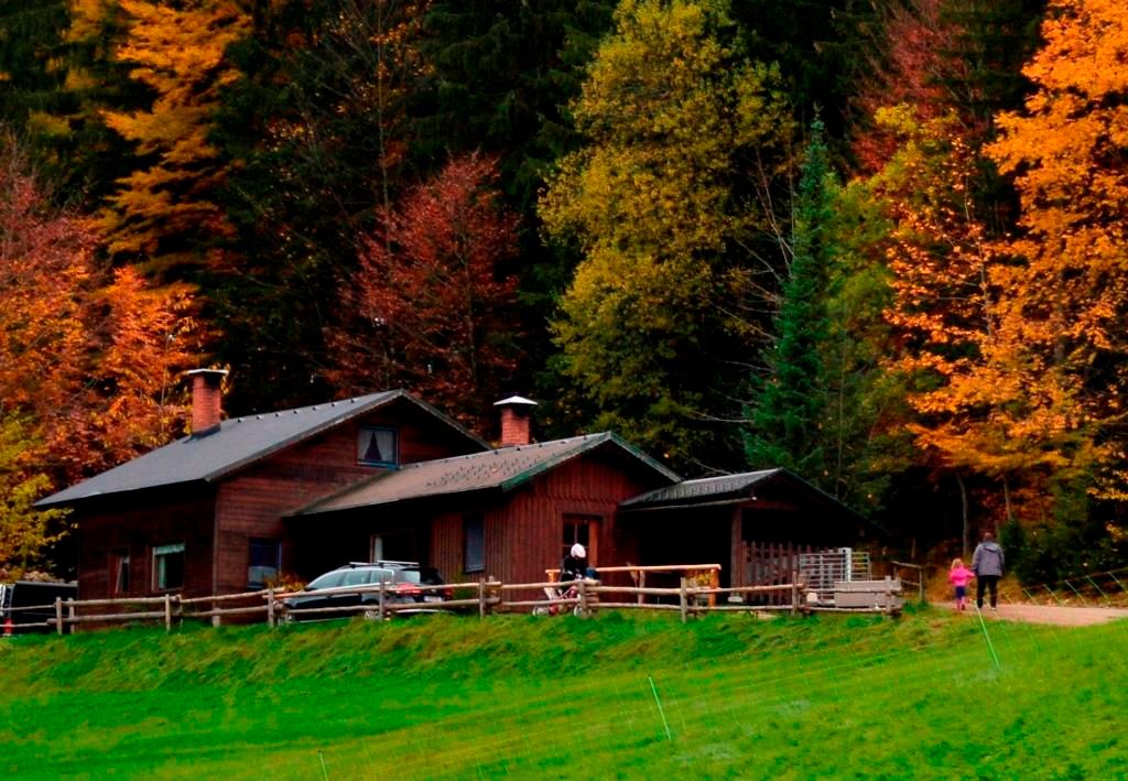 Waldhaus des Trialhof Schaureith