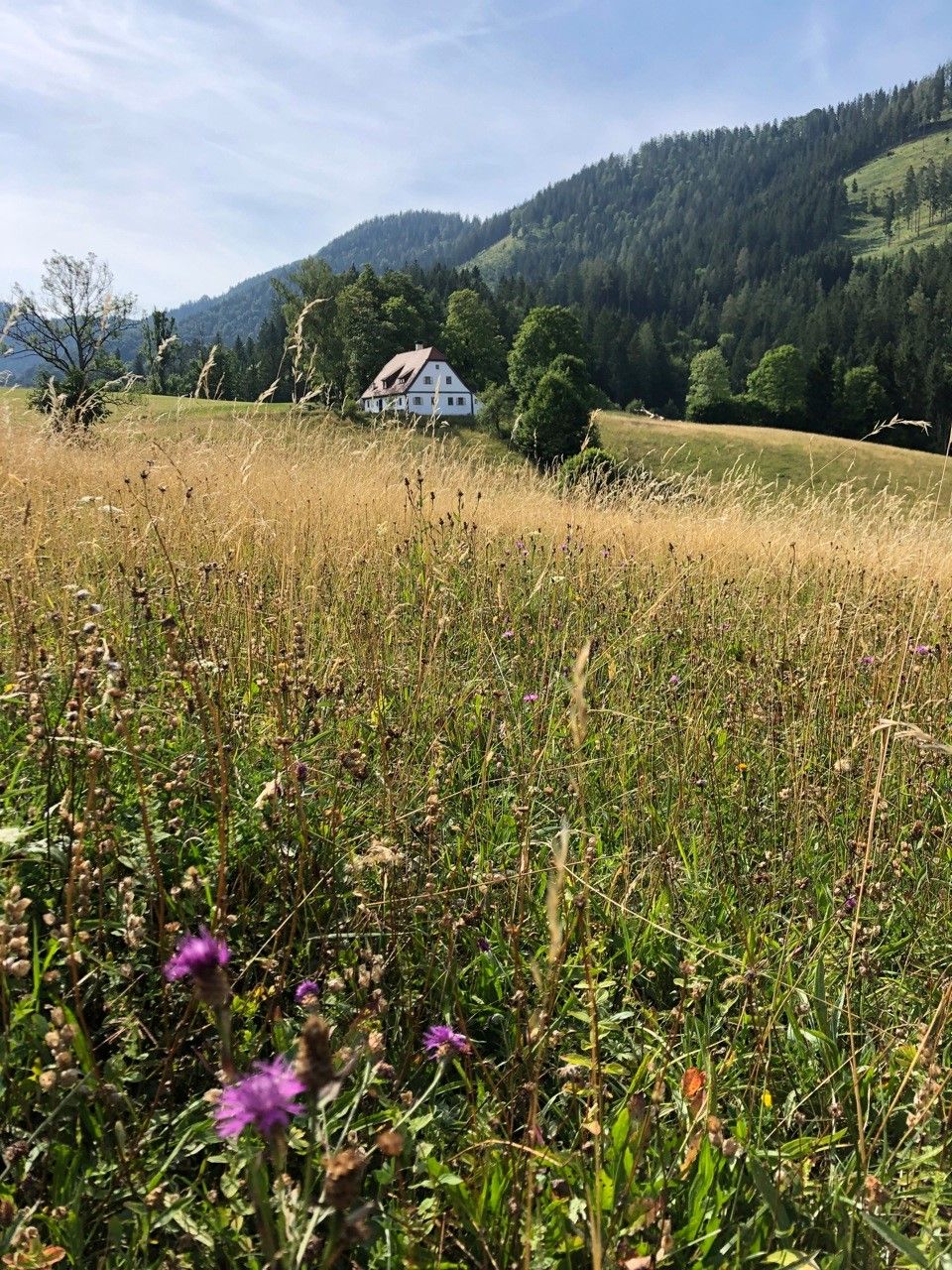 Ferienhaus Hinterbreiteneben